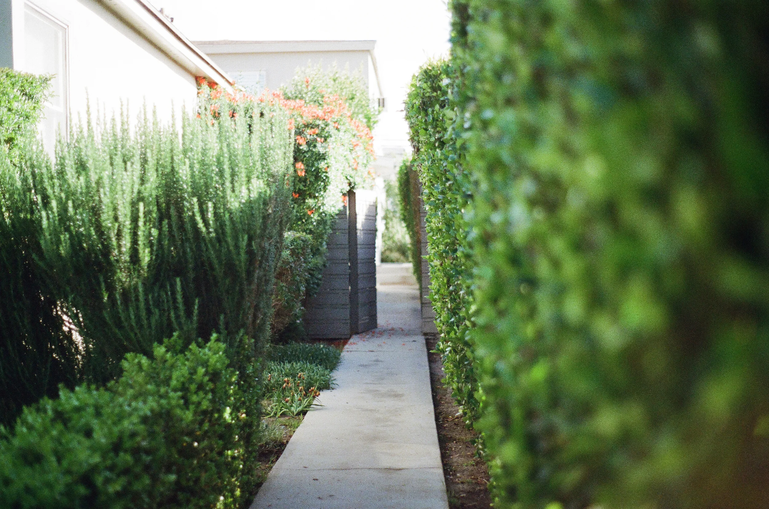 Out walkway entry.jpg