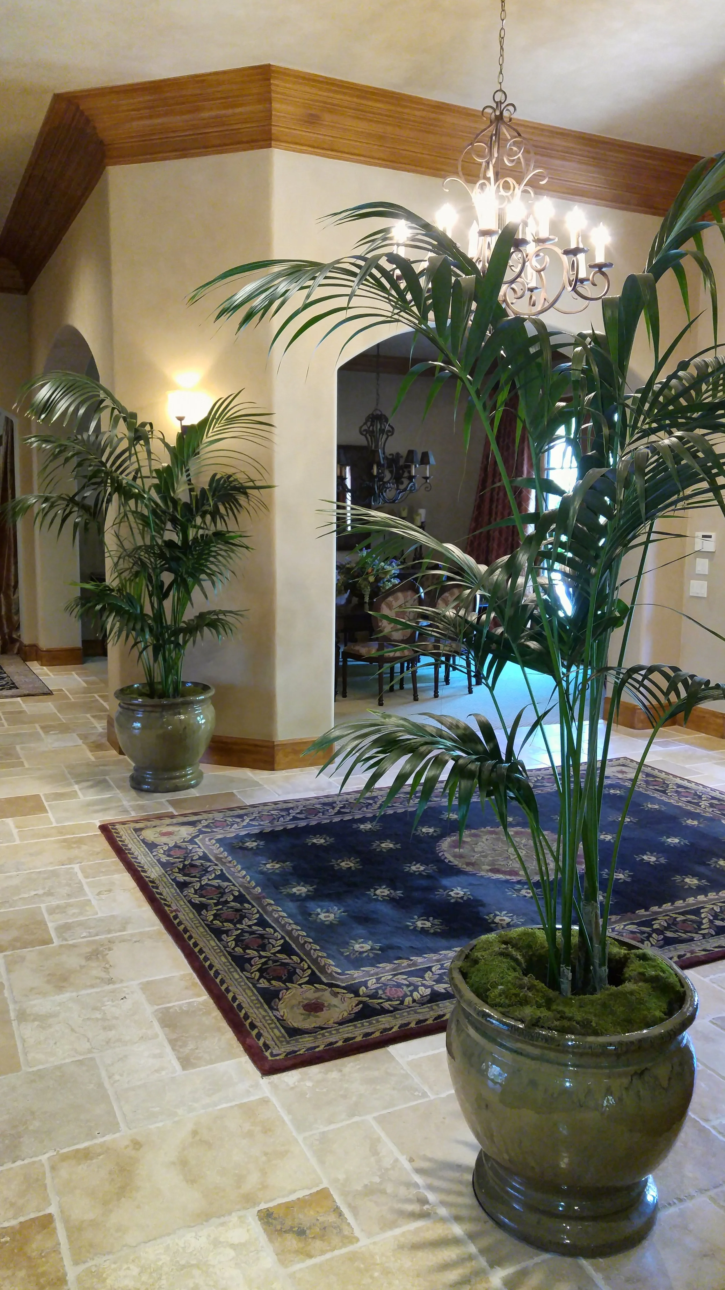 20150916_131511.jpg