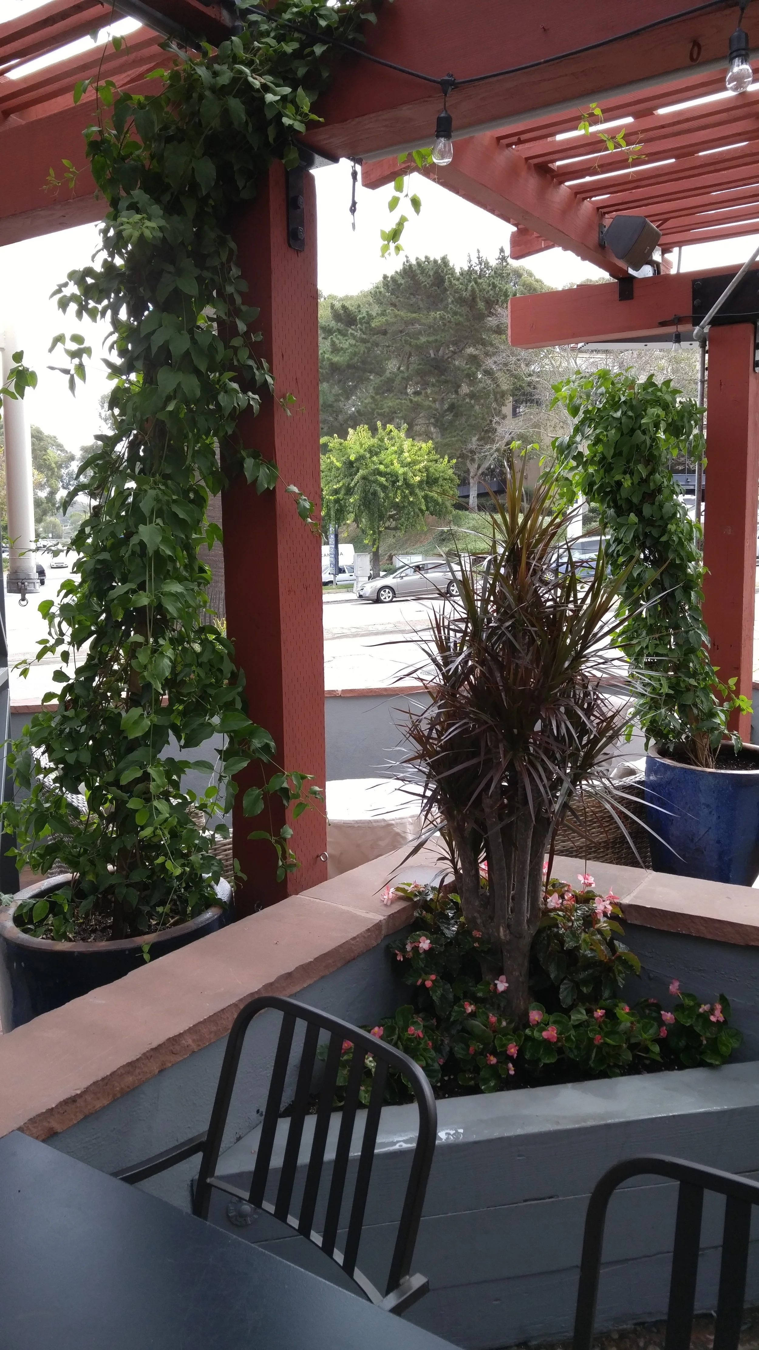 20150921_111300.jpg