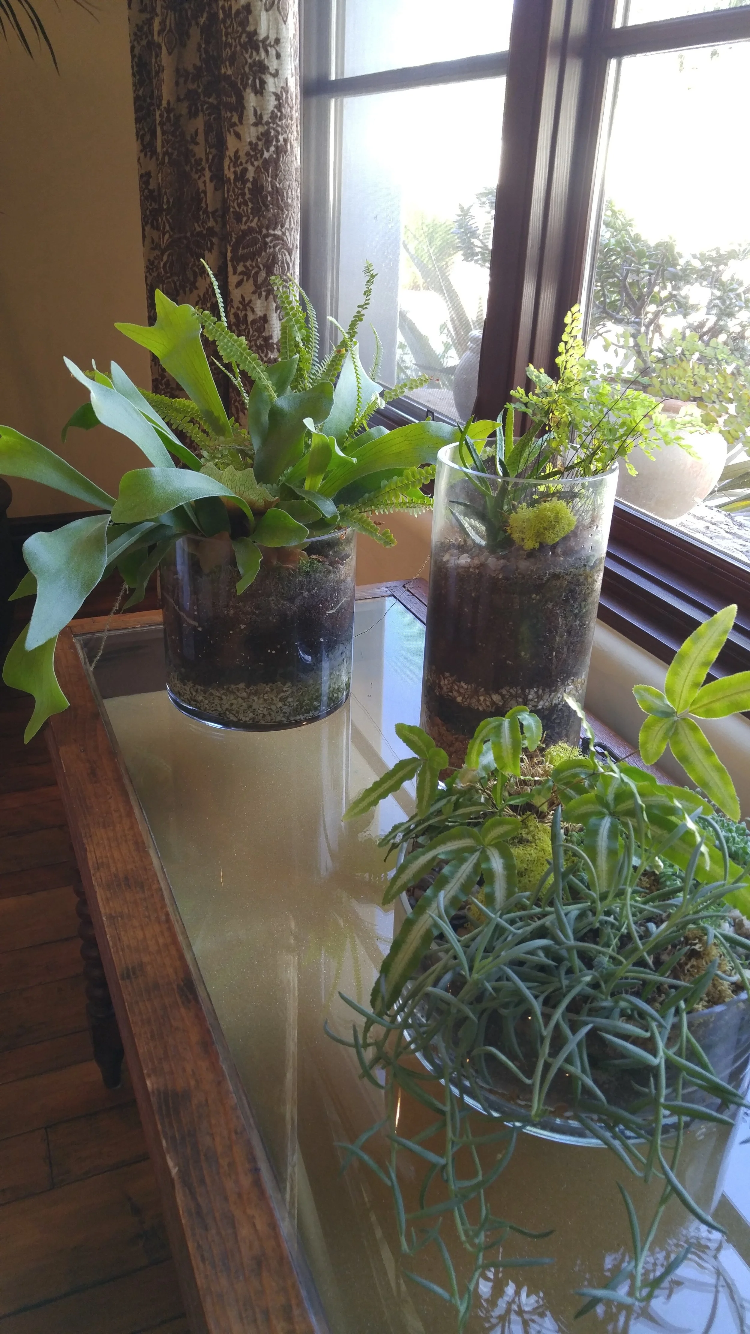 20151008_154738.jpg