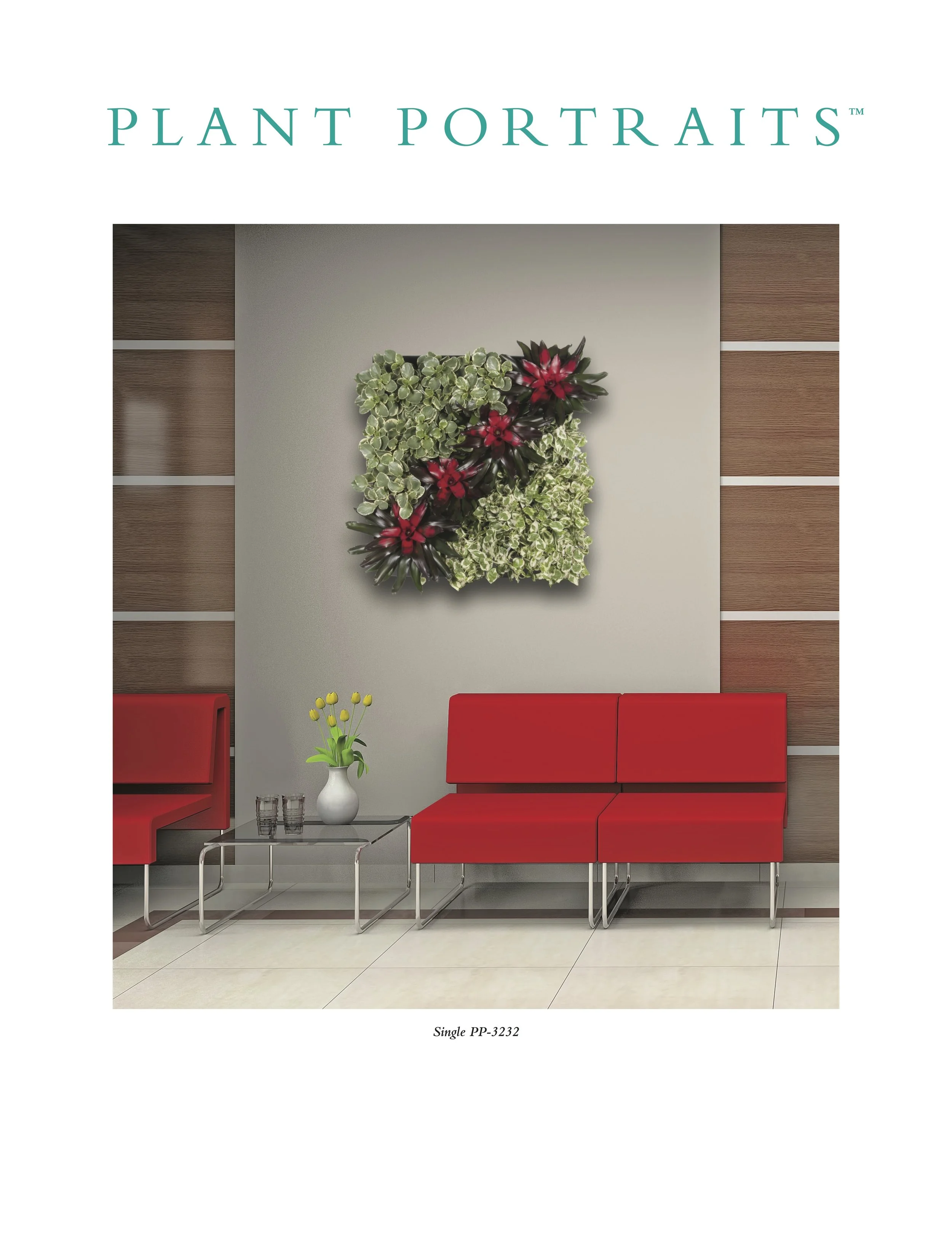 Plant Portraits