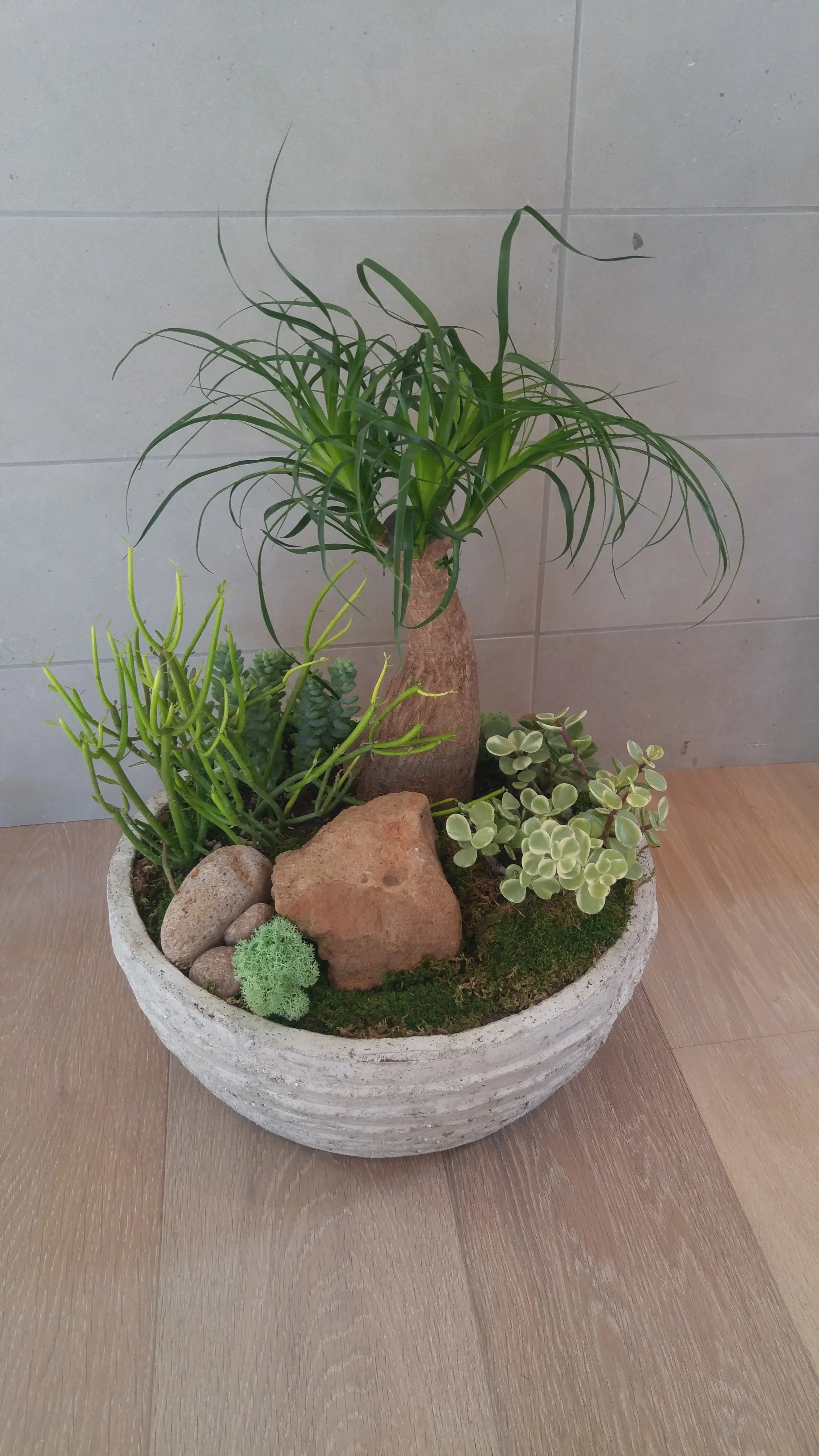 20161007_094332.jpg