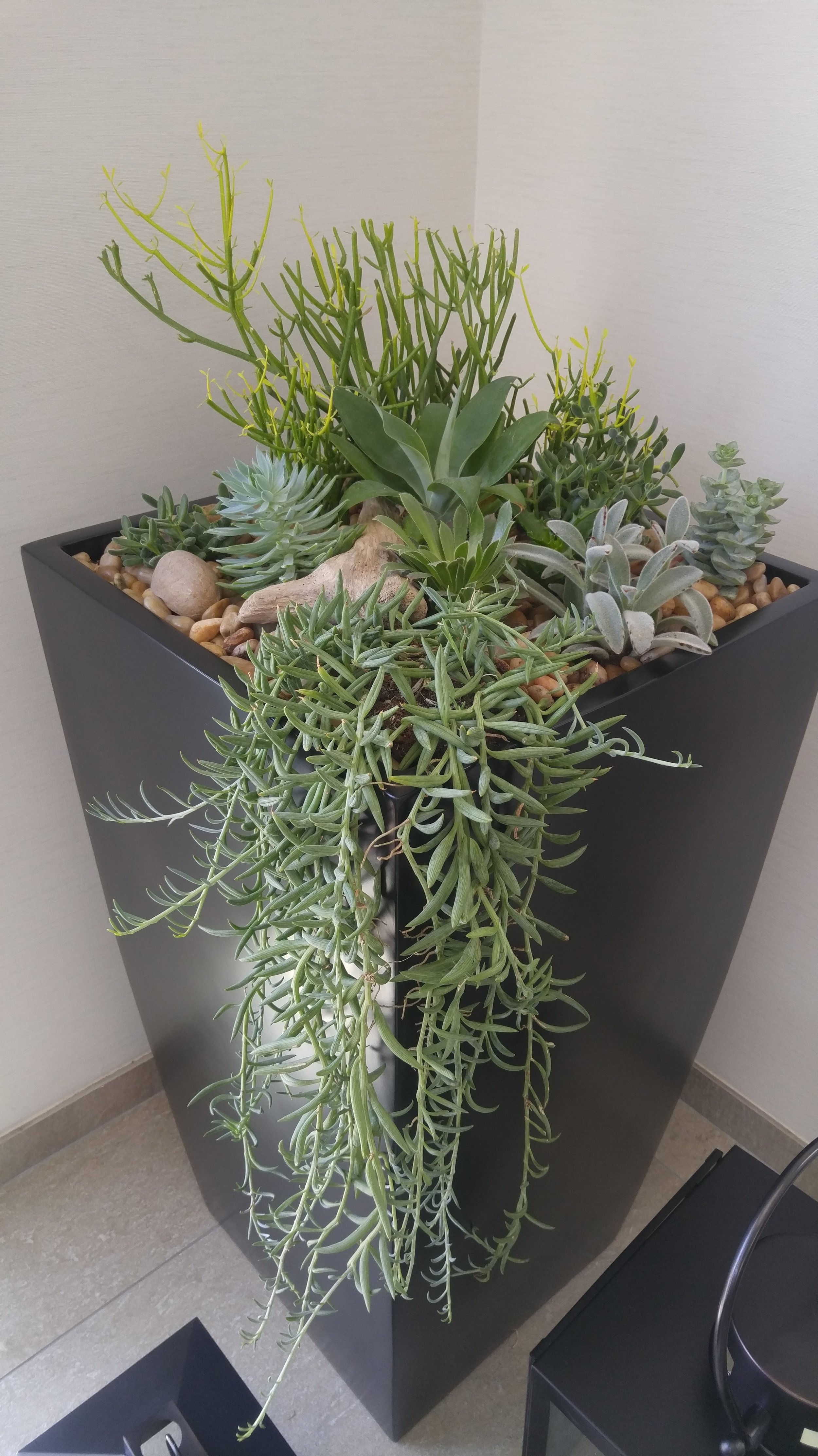 20160916_105451.jpg