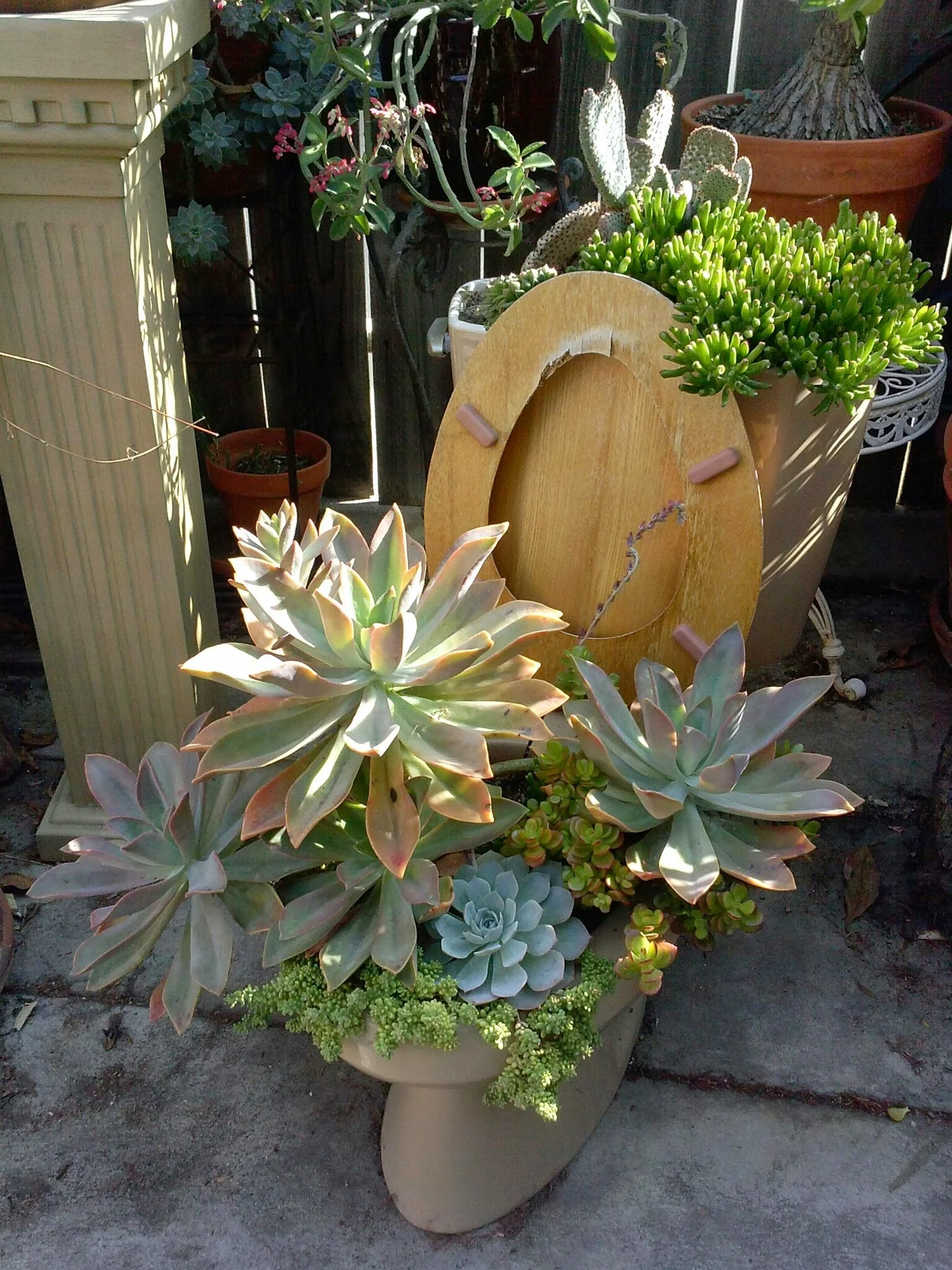 CAM02663.jpg