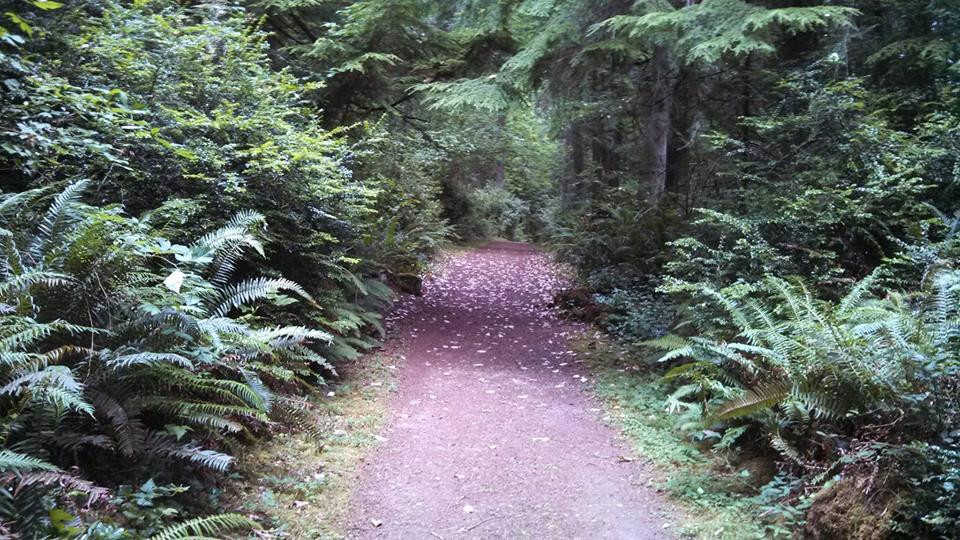 Contemplative Practices Retreat