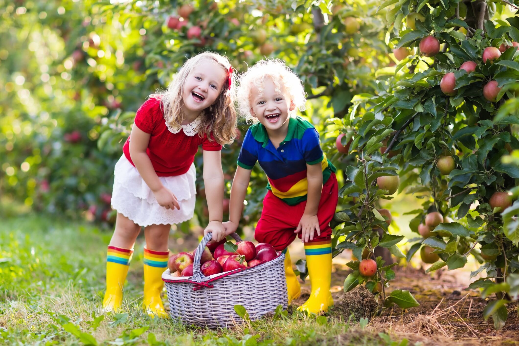 girls apple picking.jpg