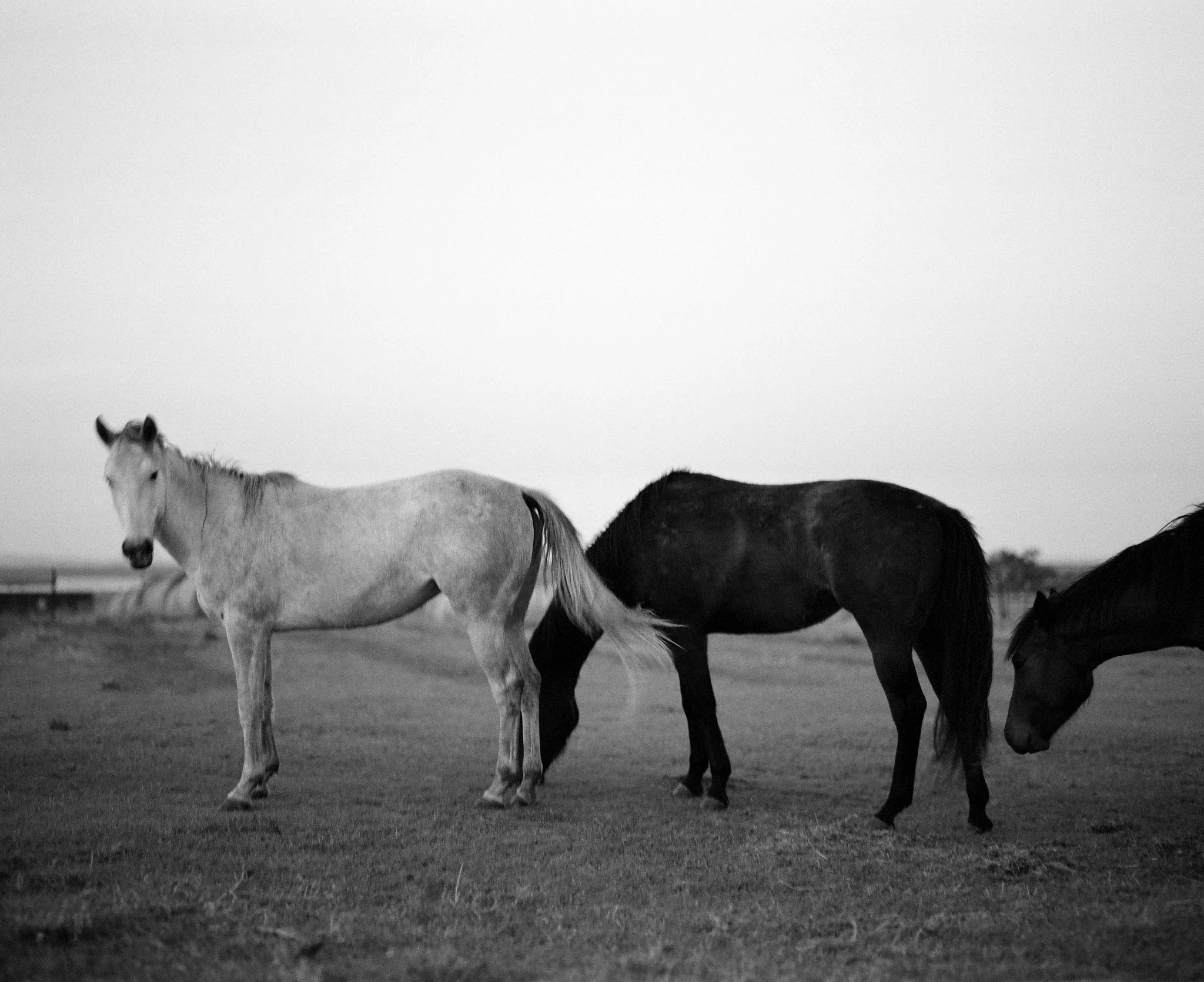 Blevins16_4_26_WebPortfolio_02.jpg