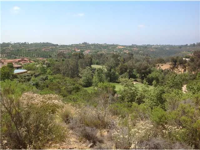 Vacant Land RSF.JPG