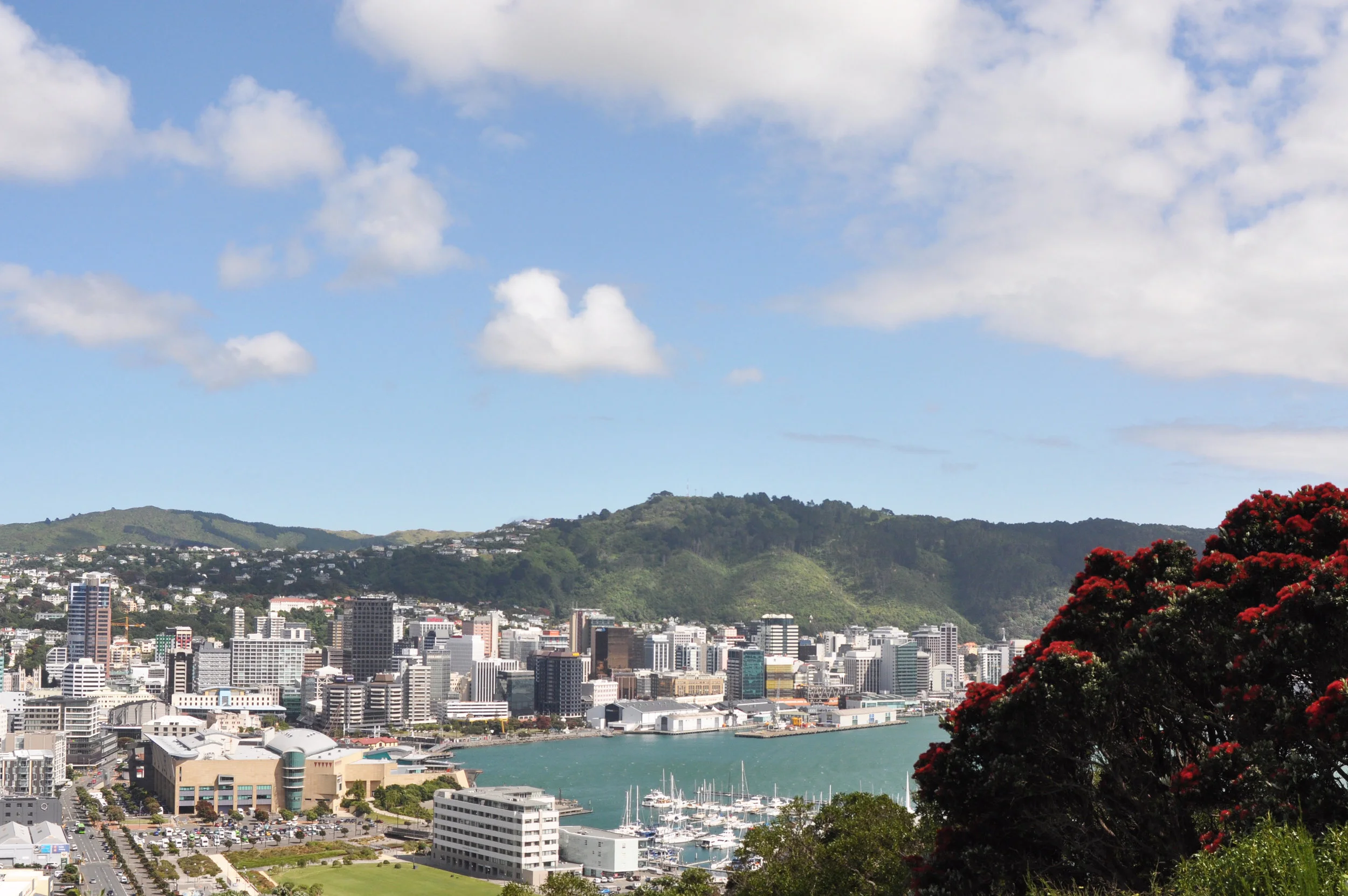    Cameras /  iPhone 5 (Apple), D90 (Nikon) + AF Zoom-Nikkor 28-80mm f/3.5-5.6D  