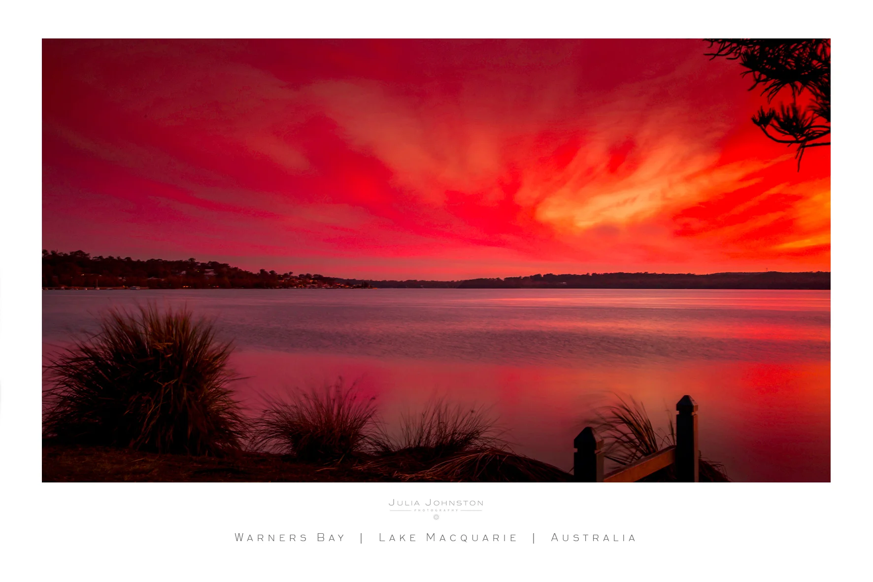 _MG_5542 4FB layout mockup.jpg