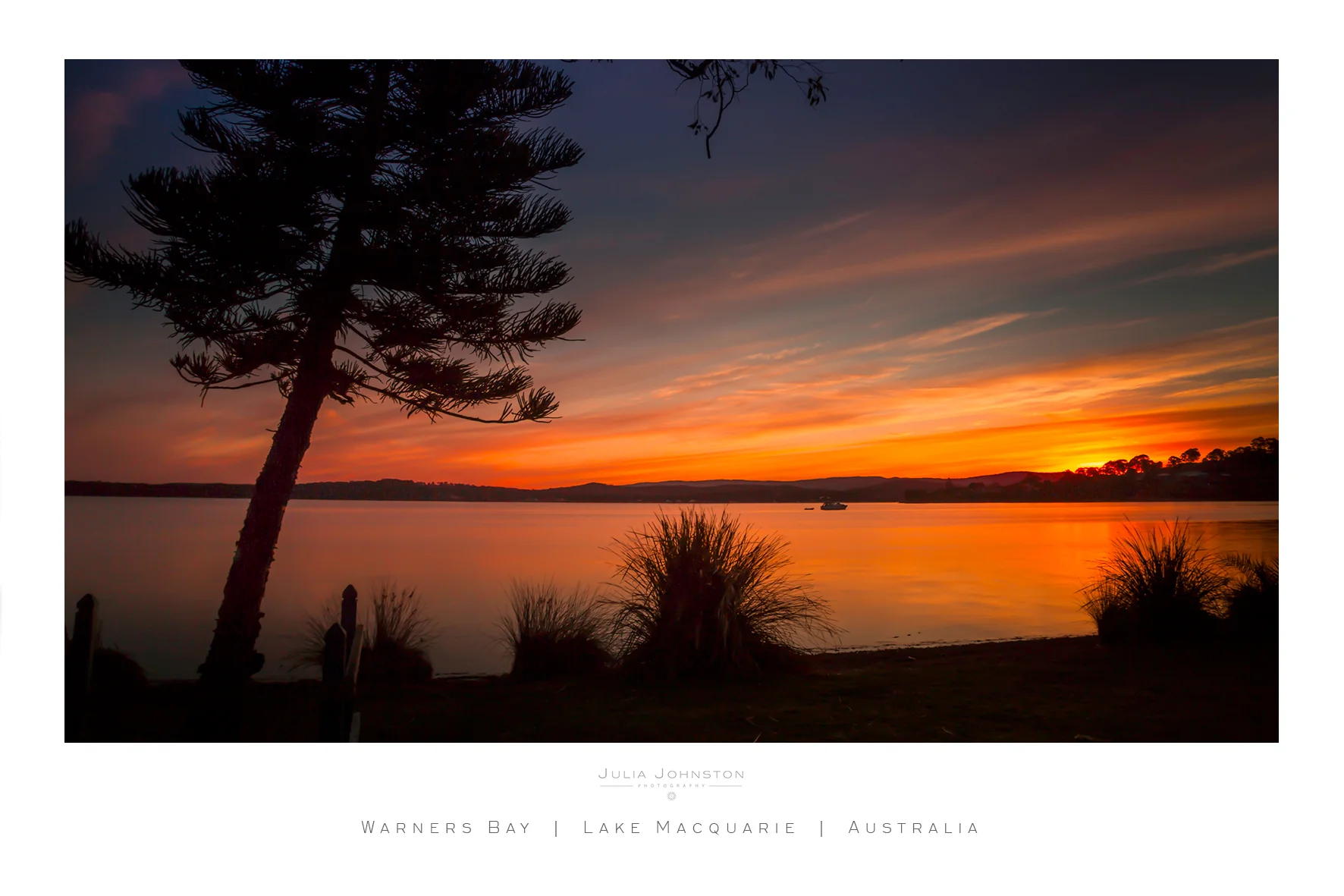 _MG_5513 4FB layout mockup copy.jpg