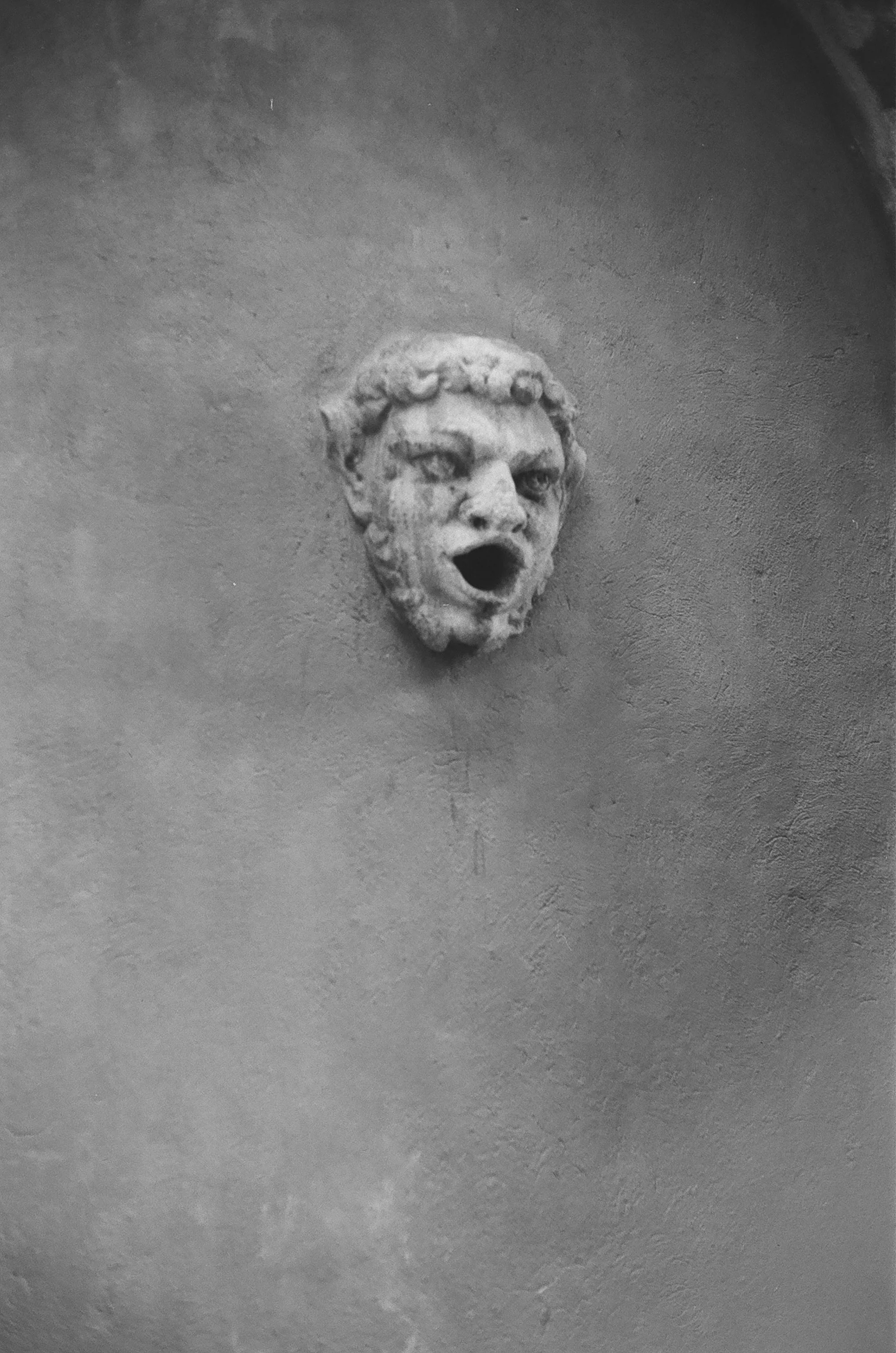 Unearth "the Dream": Mentor like Michelangelo