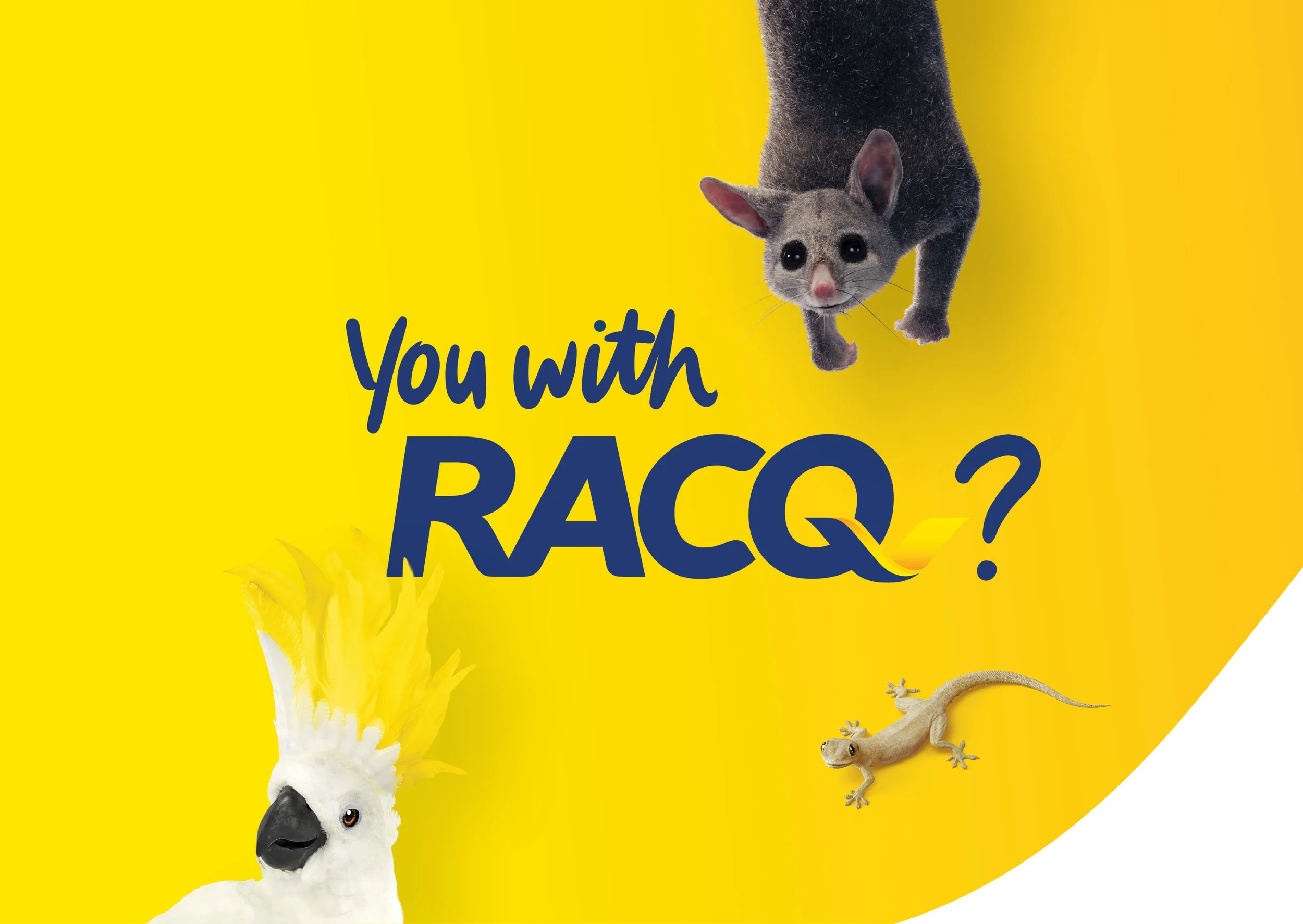 RACQ idea board.jpg
