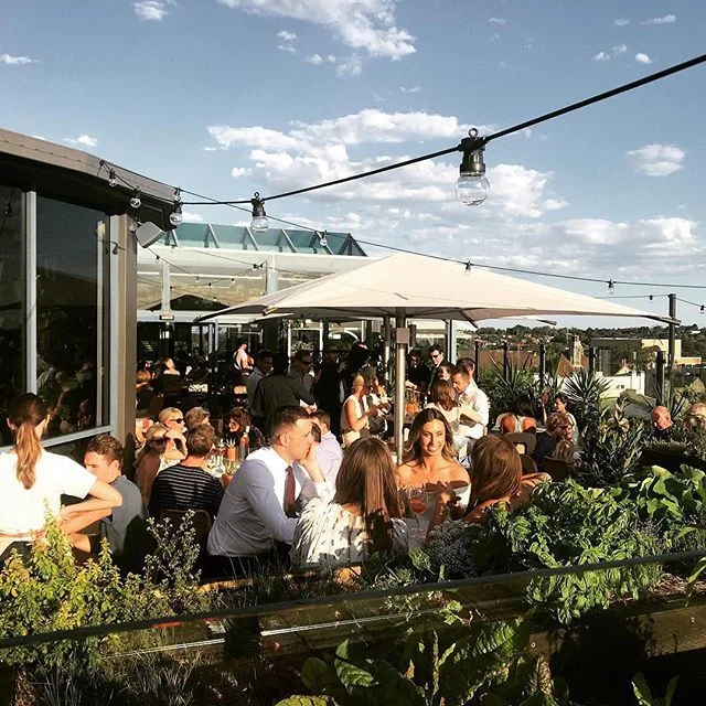 Brilliant Day for it. Mosman sunshine, great eats and best company 🌱
#thefernerymosman