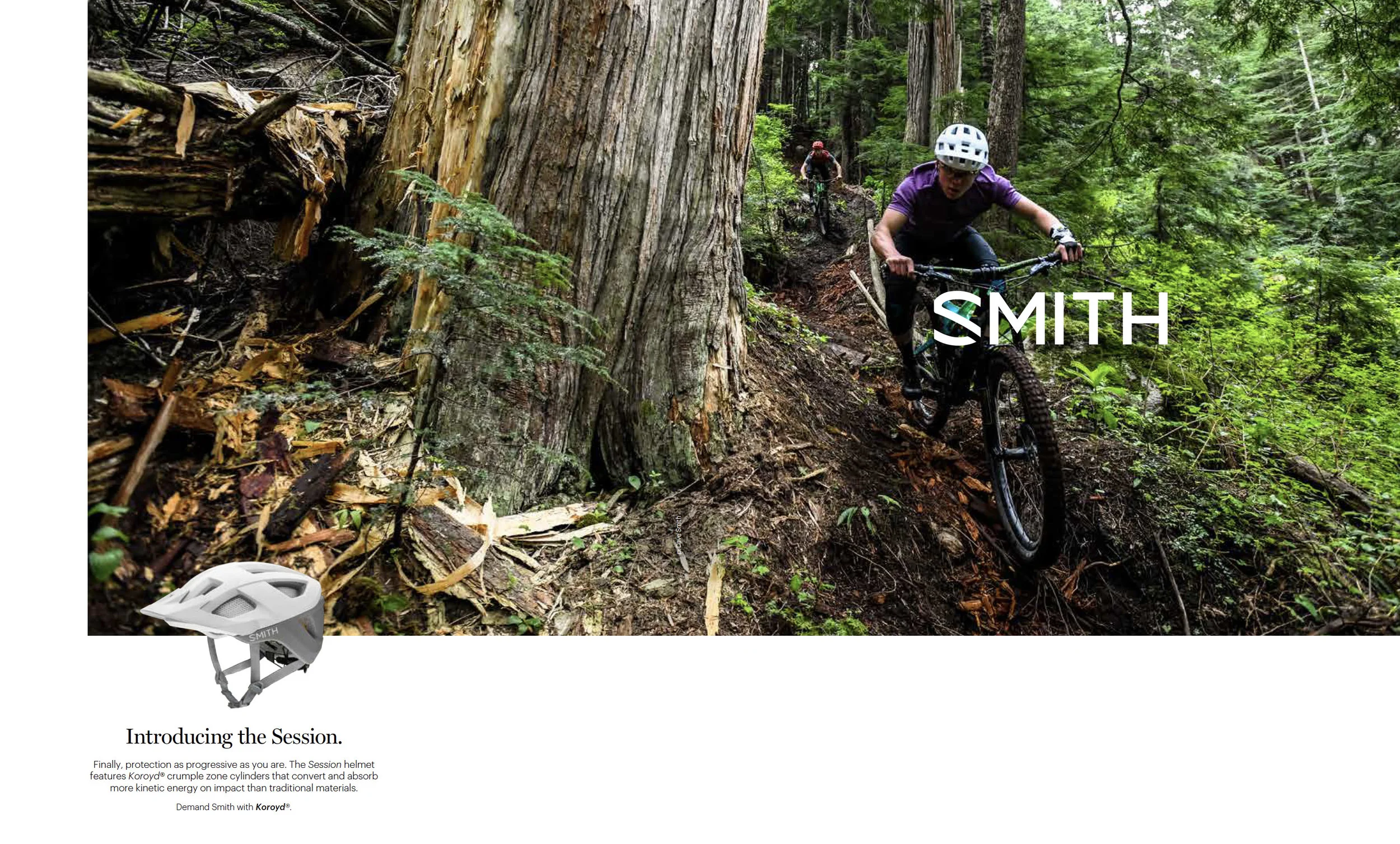 smith-freedradicals.jpg