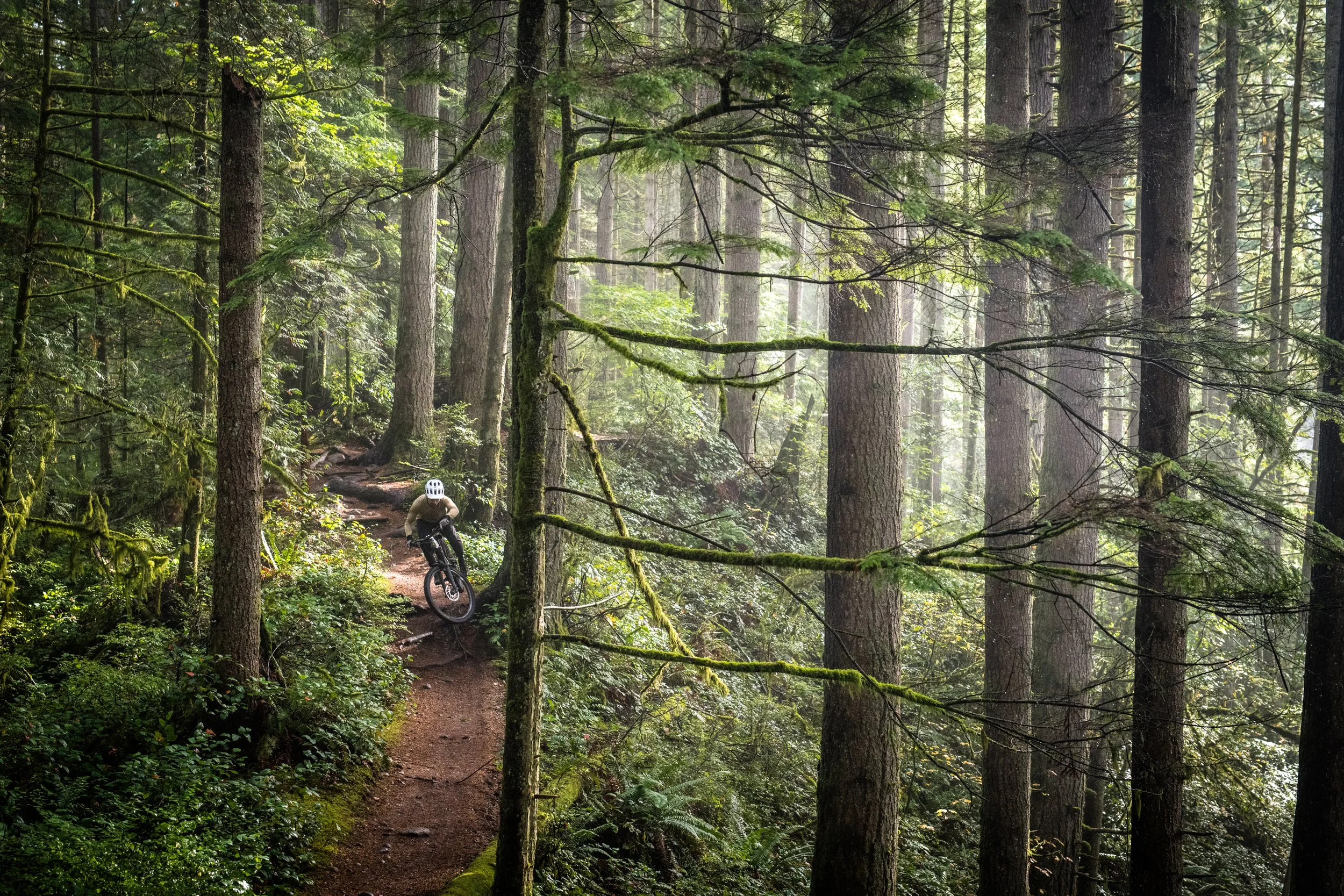 Patagonia Fall 2025 Catalog Rider: Alec Suriyuth