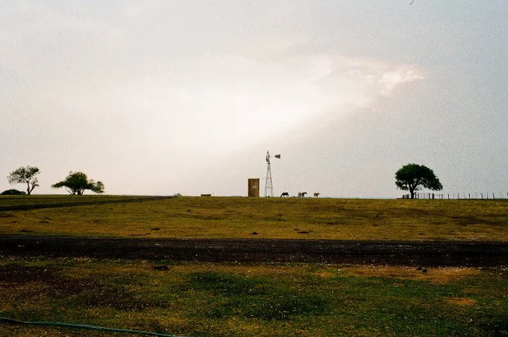 35.jpg