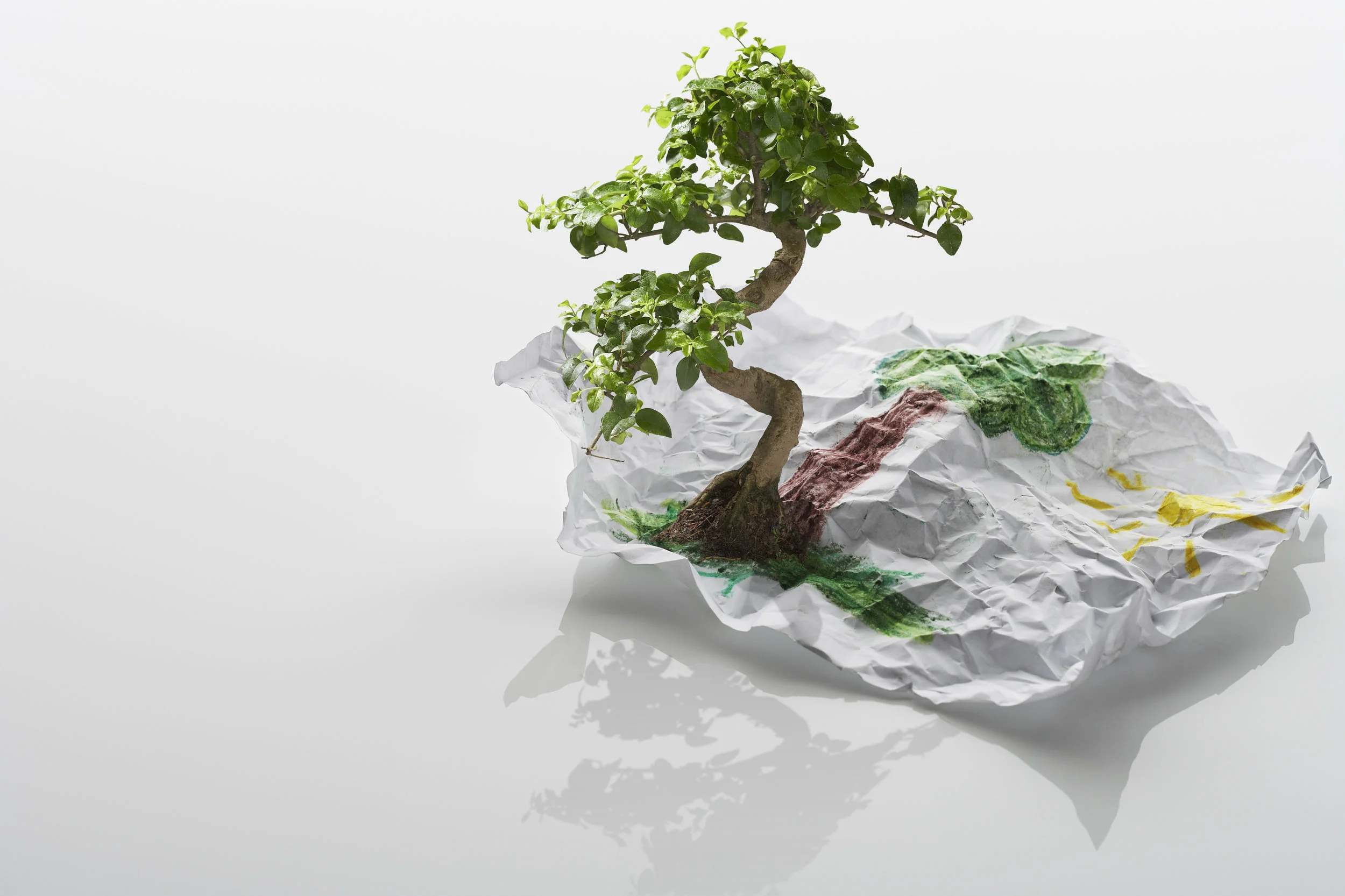 Growth Strategies