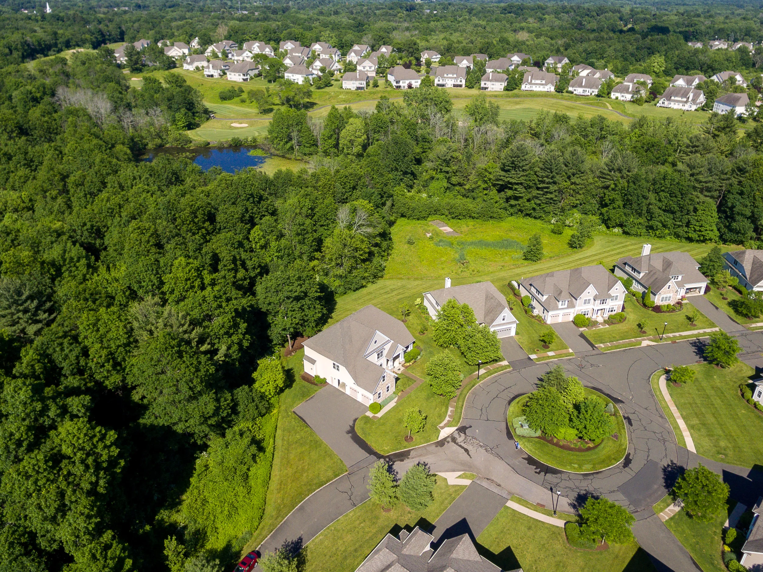 DJI_0004.jpg
