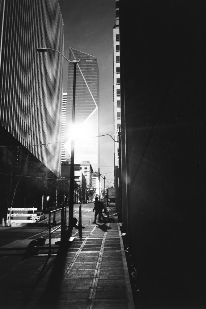 XP228908.jpg
