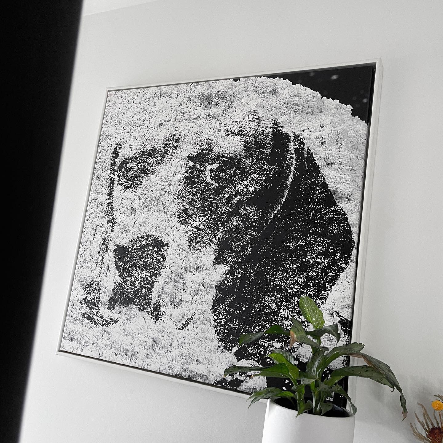 Wall decor at its finest!😏 The subtle yet piercing eyes of &lsquo;Sniffer&rsquo; 1.42m x 1.42m on canvas.
.
.
.
.
.
#art #artwork #canvas #beagle #wallart #artoncanvas #dog #design #walldecor