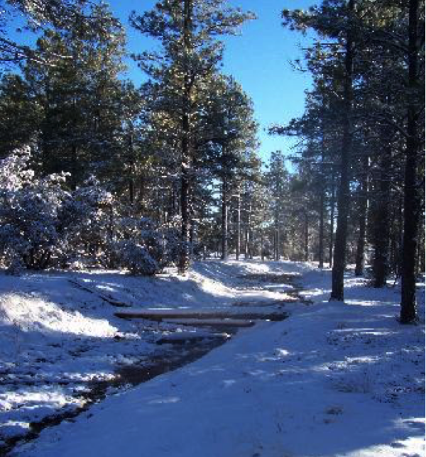 Snow Scene - courtesy of Trip Advisor - at tripadvisor.com