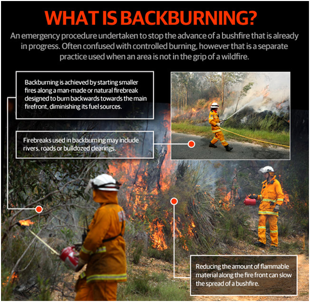 (Image via The Courier-Mail)