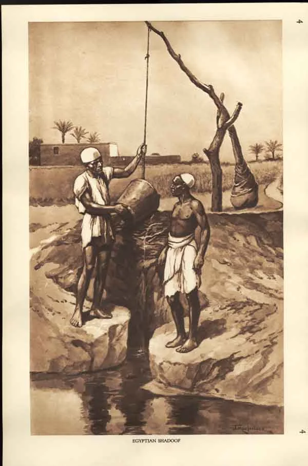 Egyptian Shadoof. Image courtesy of http://www.old-print.com/cgi-bin/item/A4701930004