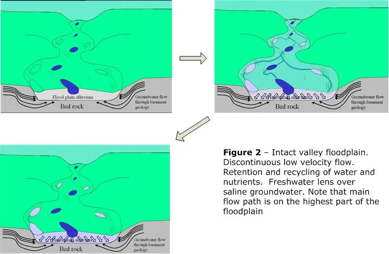 Intact valley floodplain. Image courtesy of http://www.nsfarming.com/andrews.htm