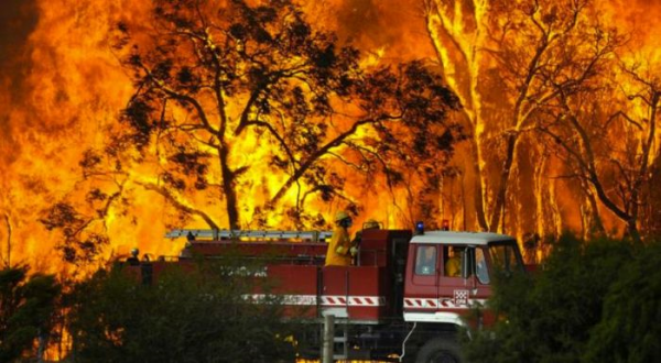 Fighting the Black Saturday Firestorms 2009.
