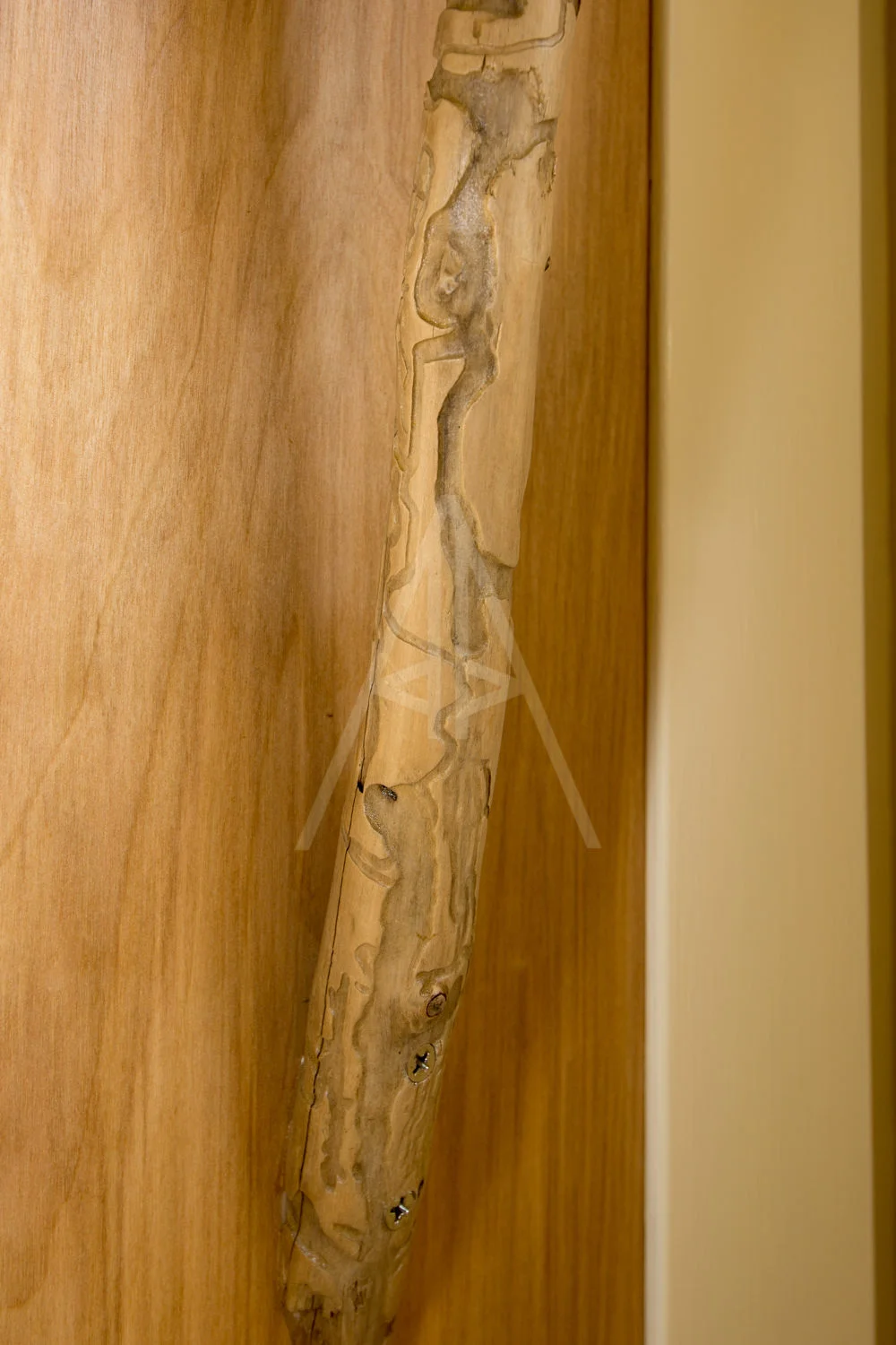 Pull-out storage