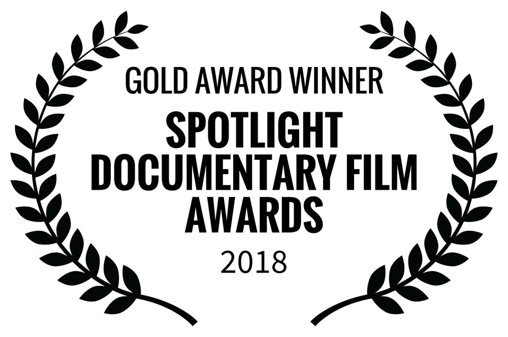 Splotlight Documentary Awards 2018.jpg