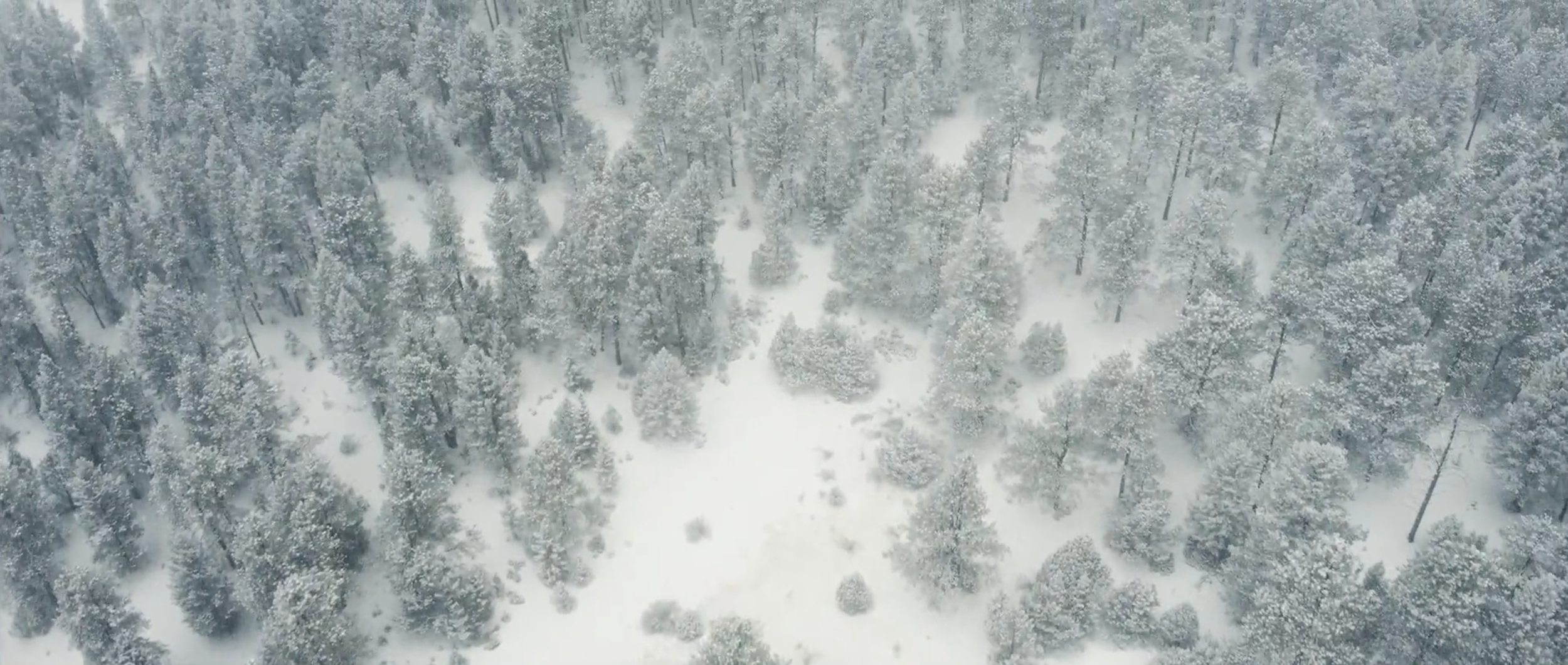 Screenshot 2025-04-30 at 11.52.08 AM.png