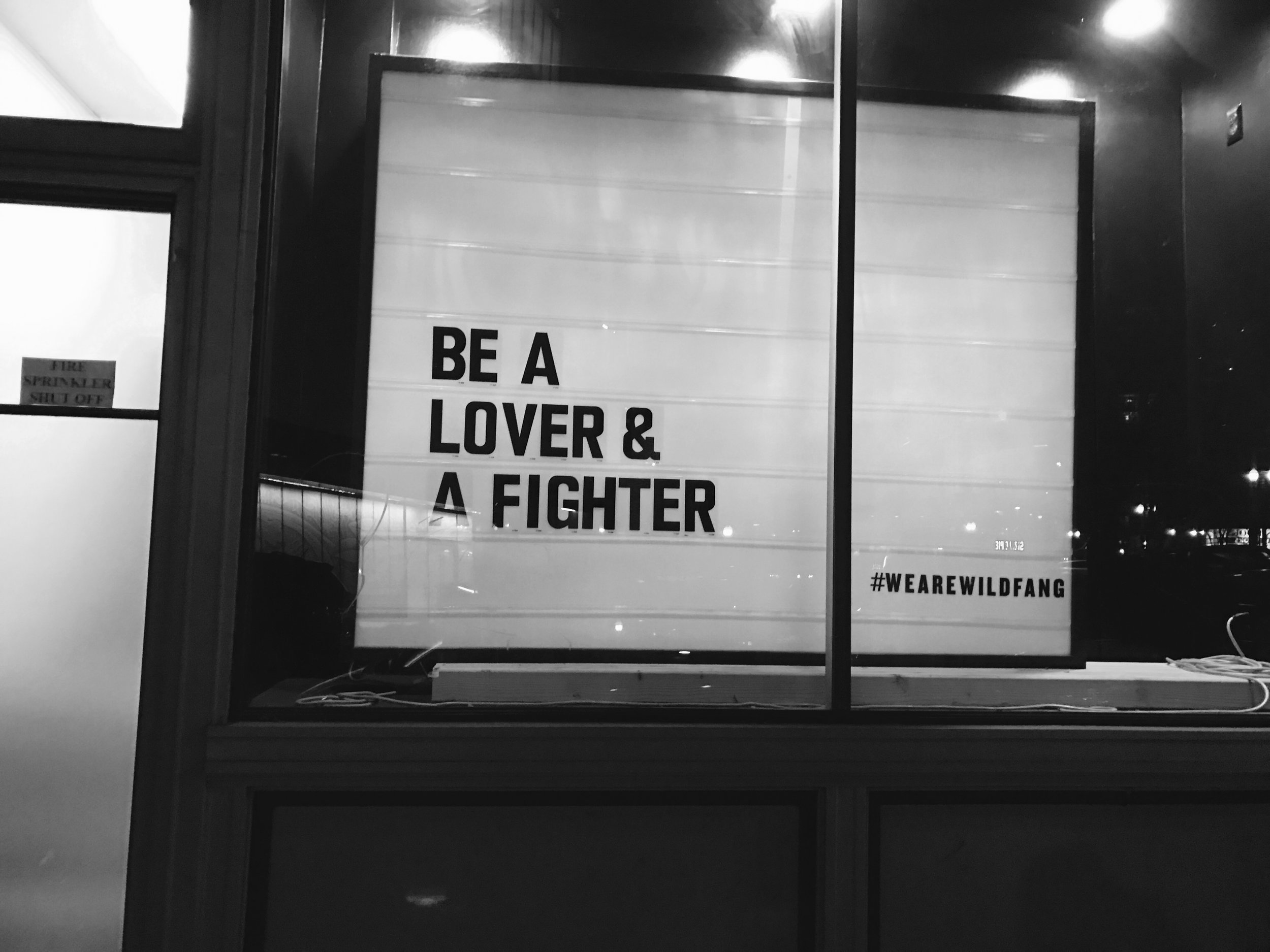 BE A LOVER & A FIGHTER