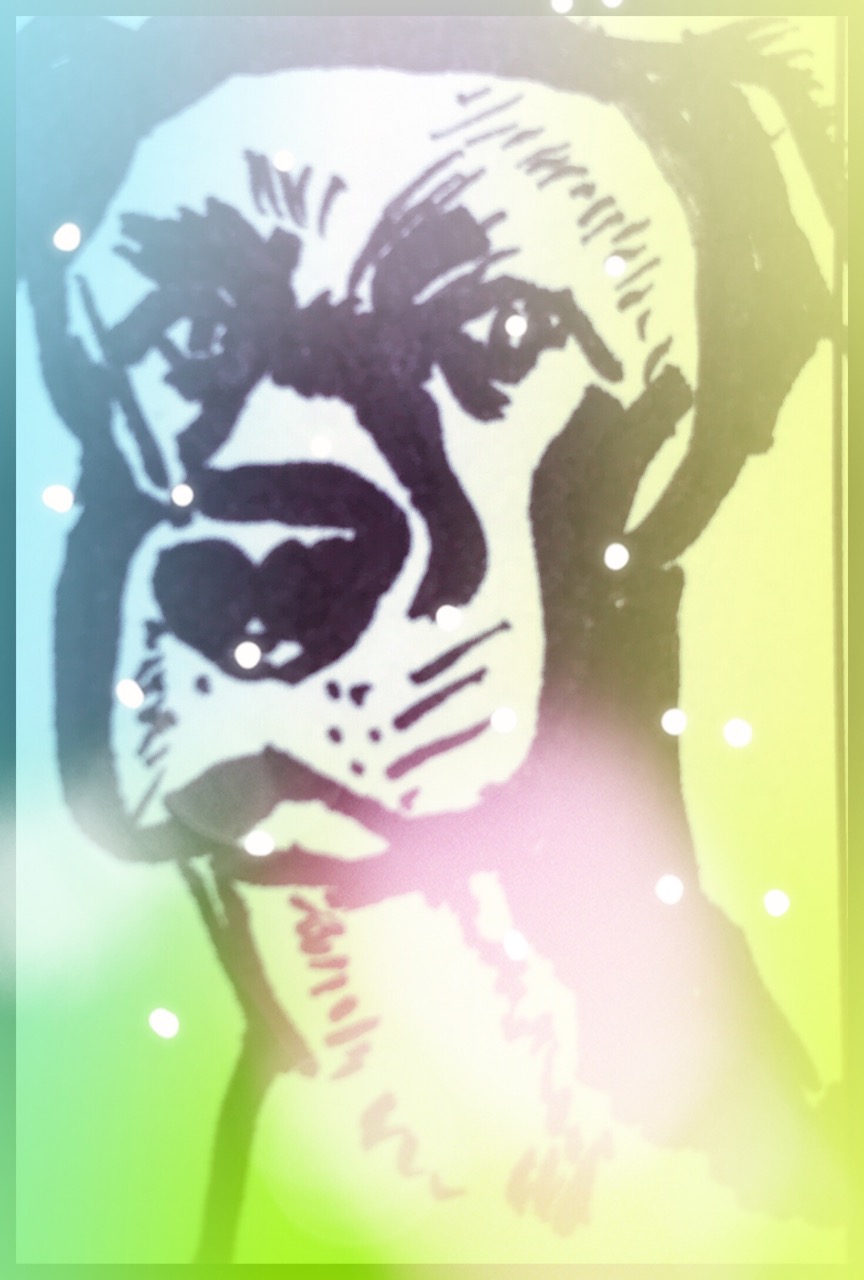 christopher m. palacios copyright 2018_ - 66.jpg