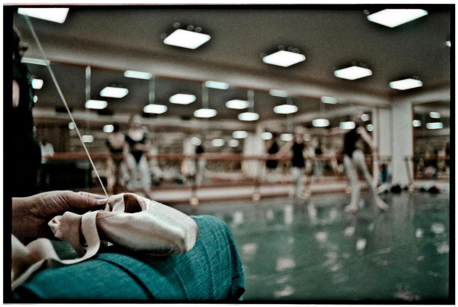 Sowing Pointes © Sam Asaert - 2013.jpg