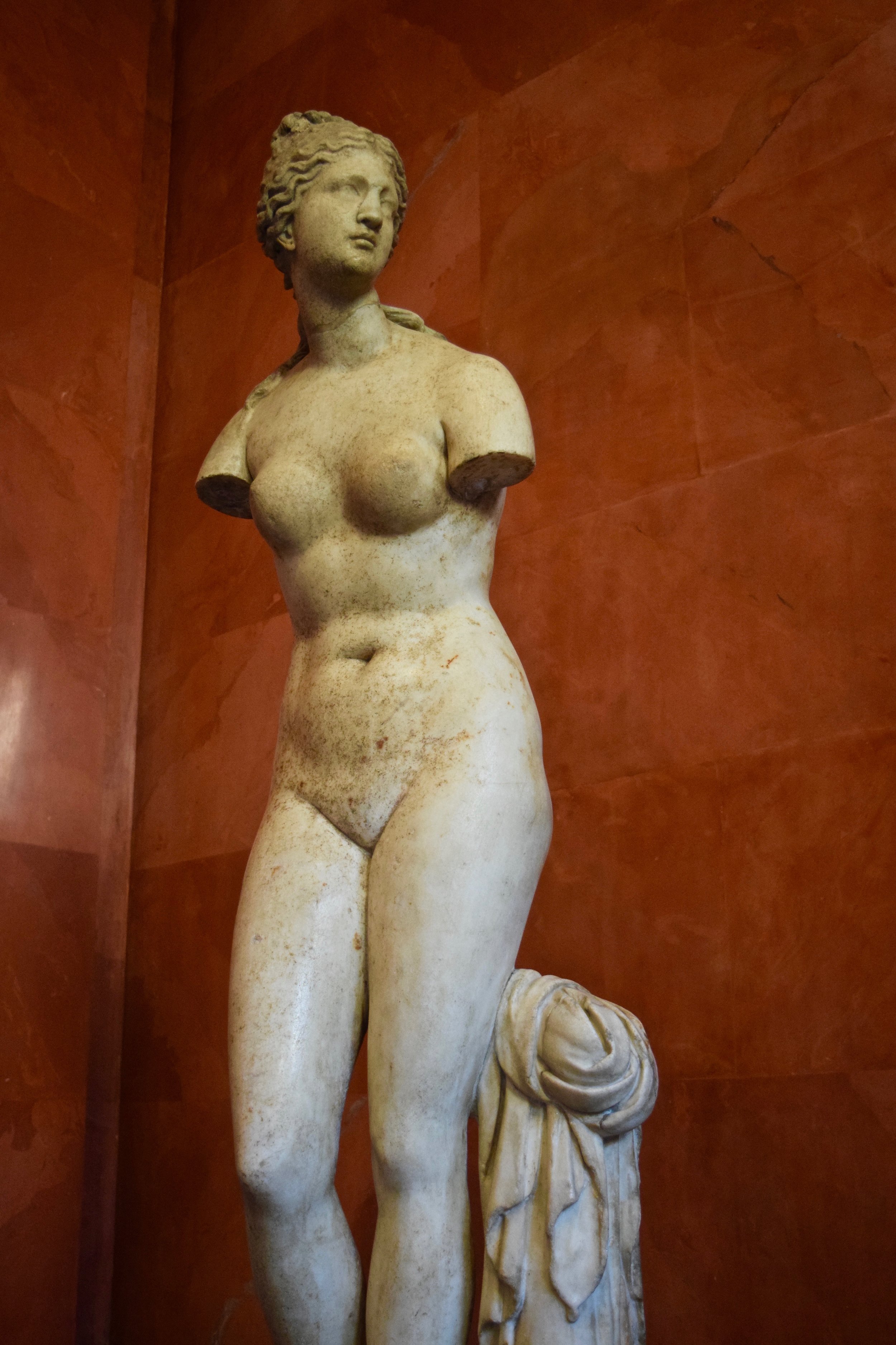 Venus Tauride