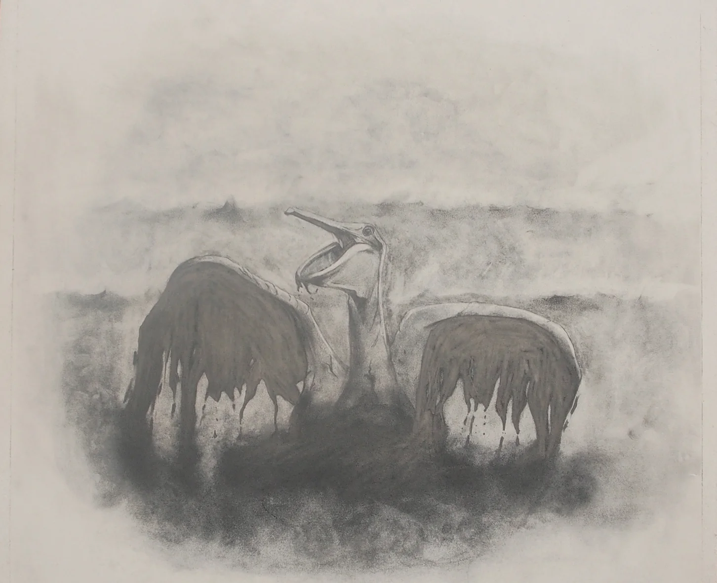 'Pelicant'