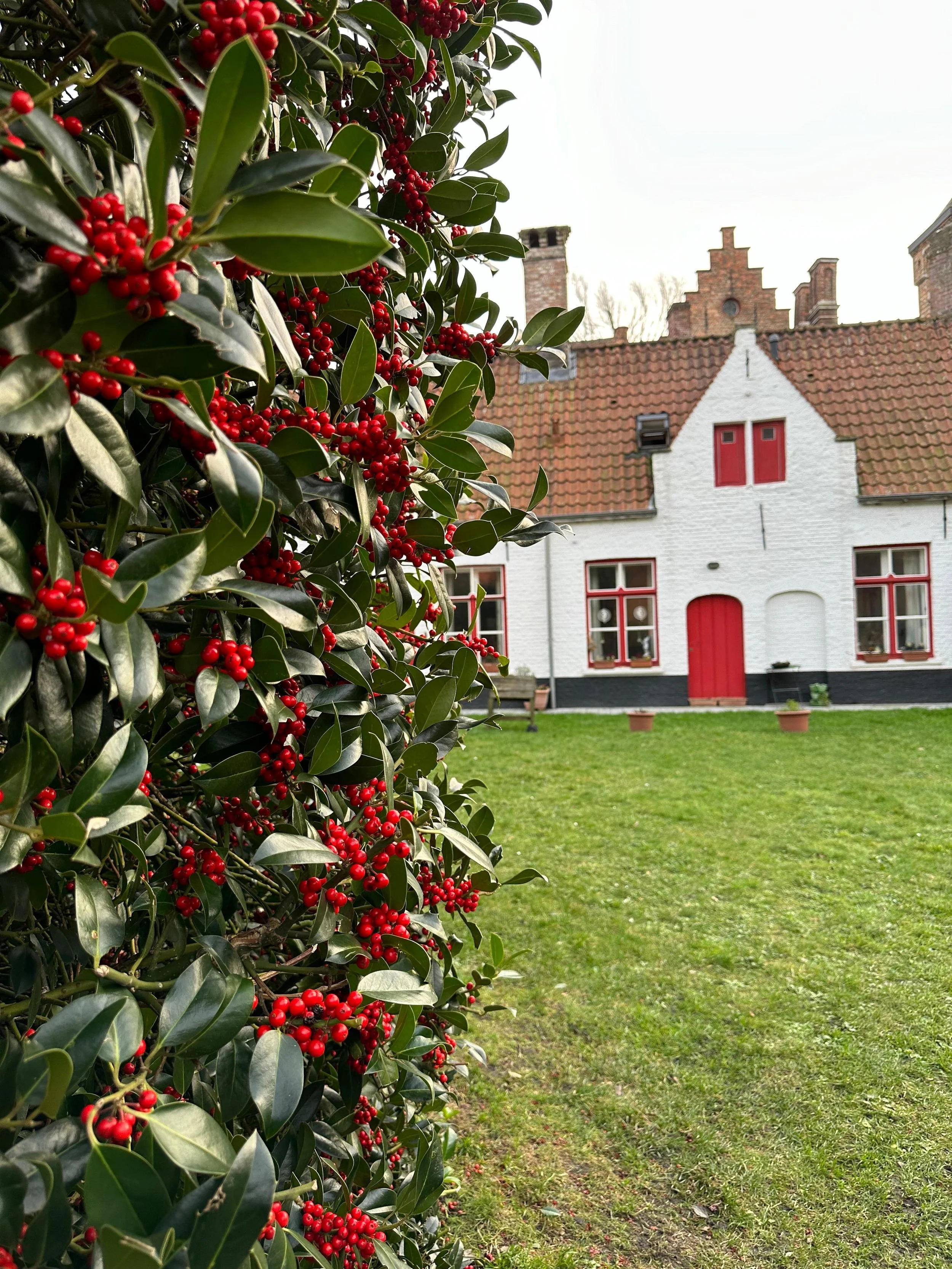 Visitare bruges  | A Zonzo Tour Free tour italiano.jpeg