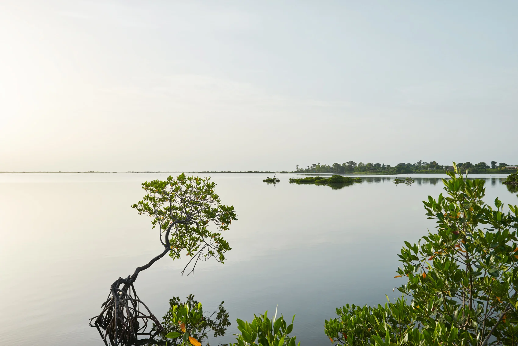 _DSC3550.jpg