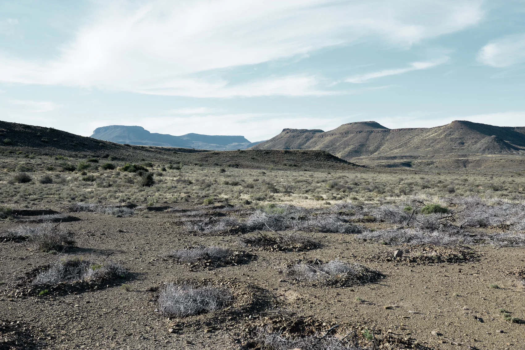_DSC8678.jpg