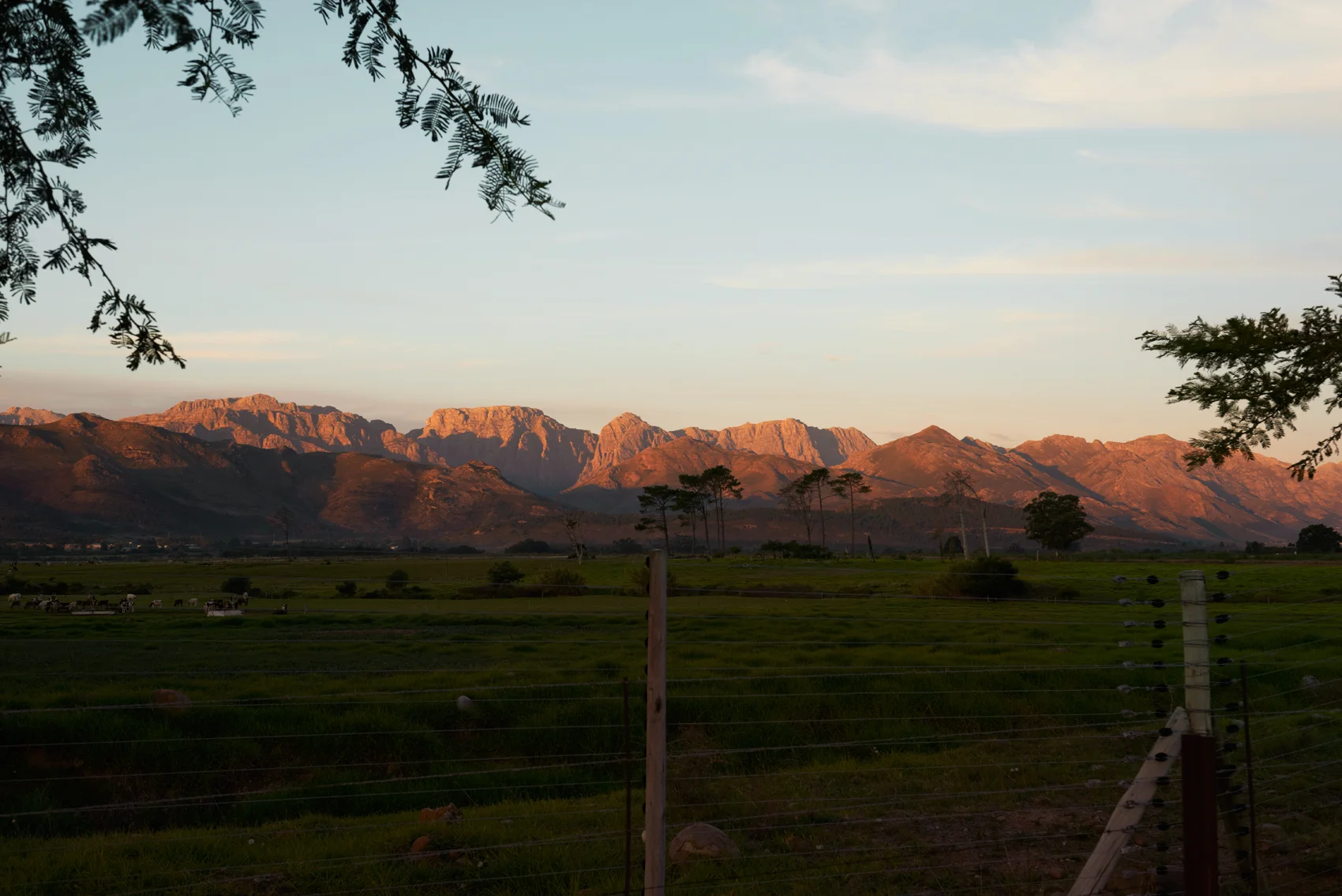 _DSC8869.jpg