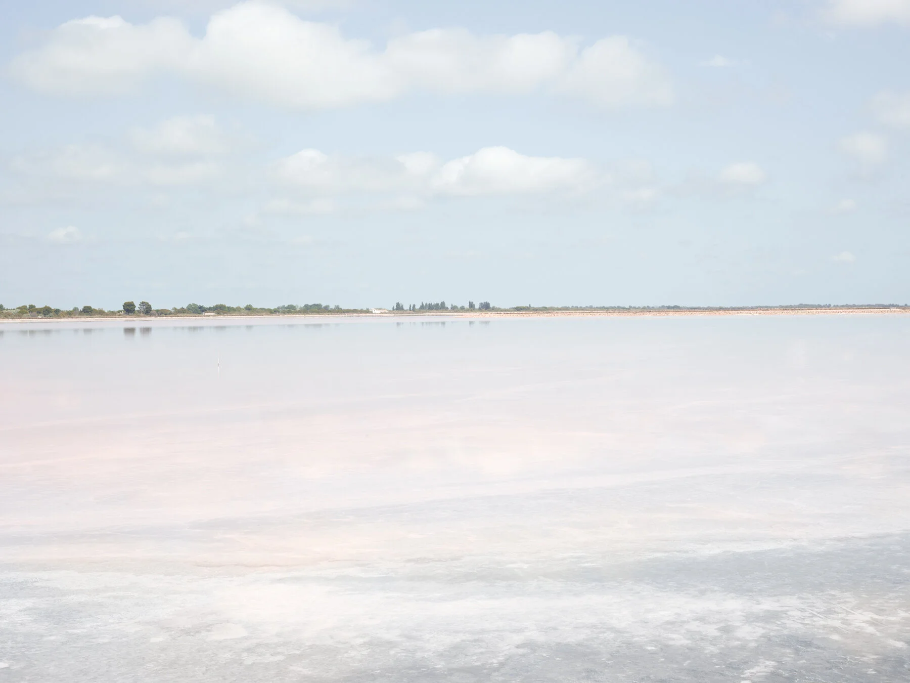 CF001468.jpg