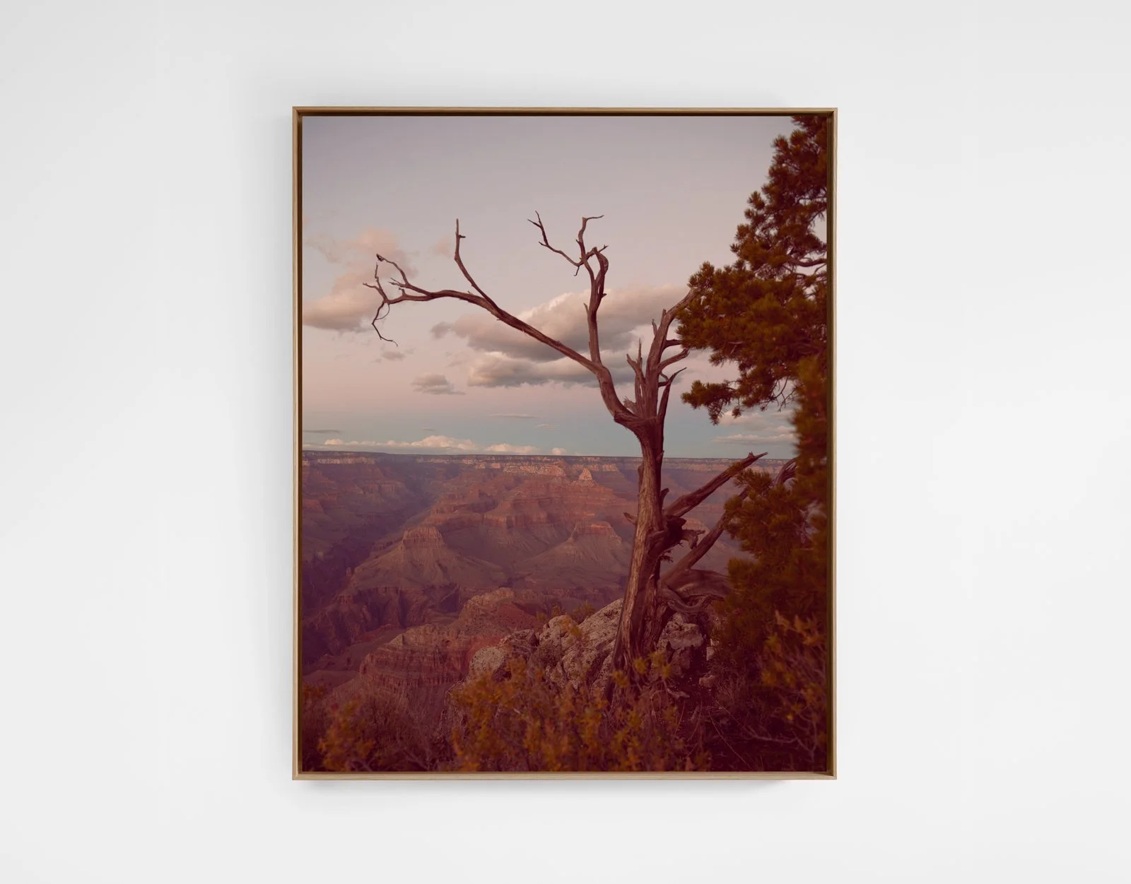 Grand Canyon #01 /  2018