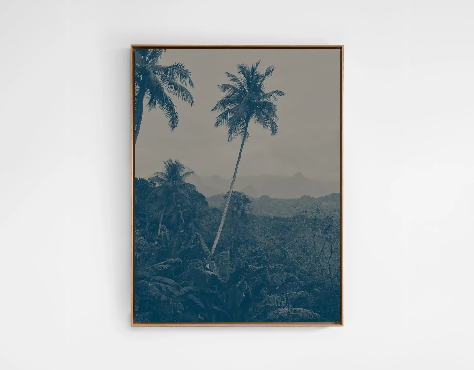 Jungle Sao Tomé et Principe #2  /  2017