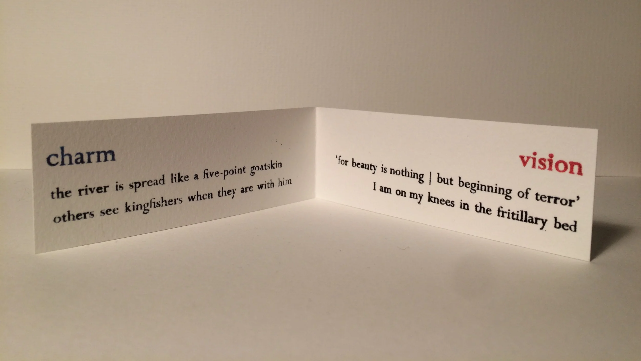 c h a r m / v i s i o n 