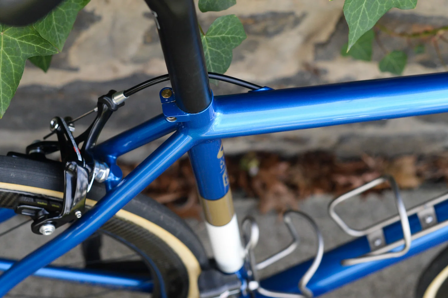 Prova Cycle Razzo Road Campagnolo EPS | FYXO -5.jpg