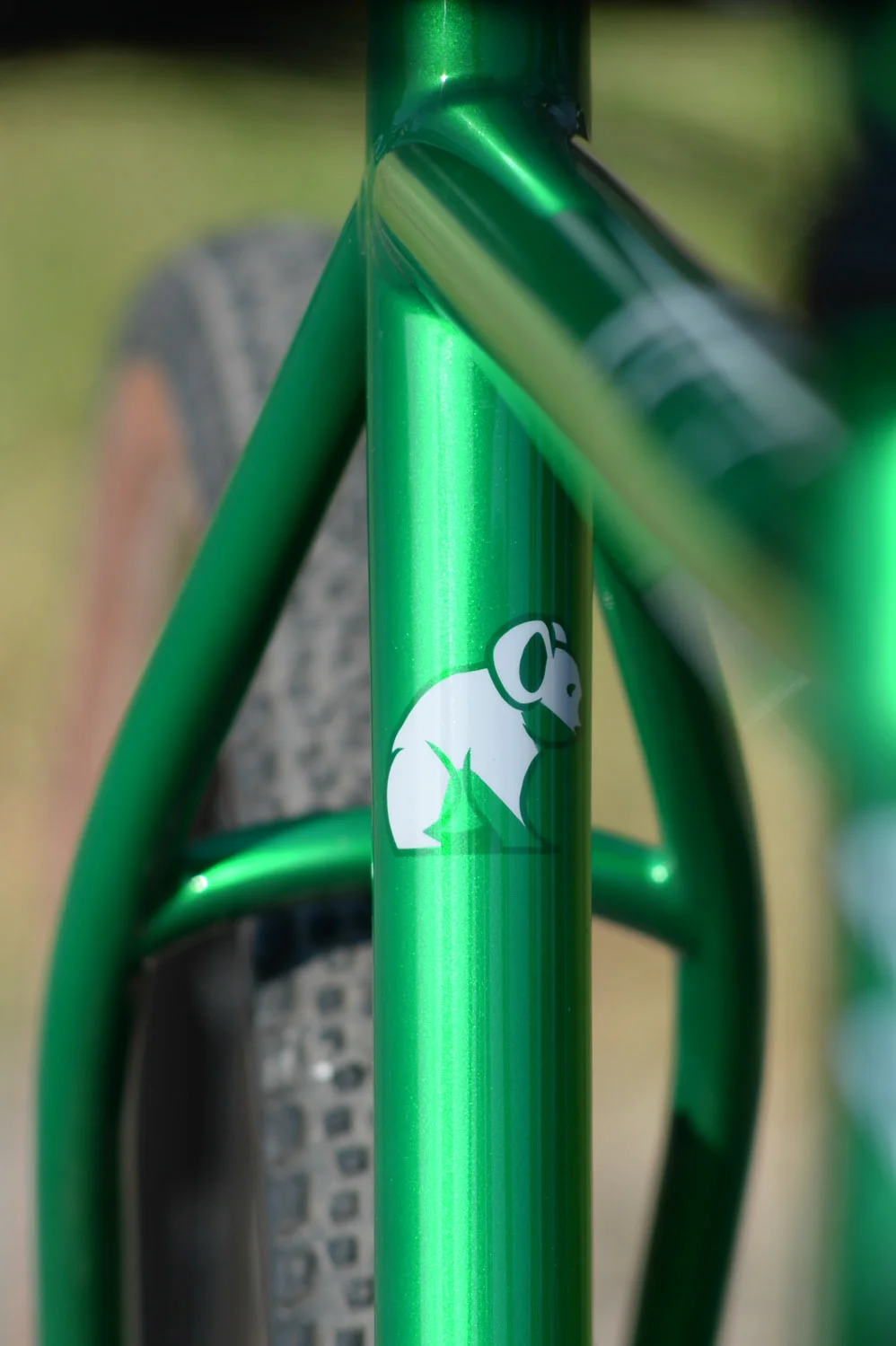 PROVA GRAVEL MONSTER-4972.jpg