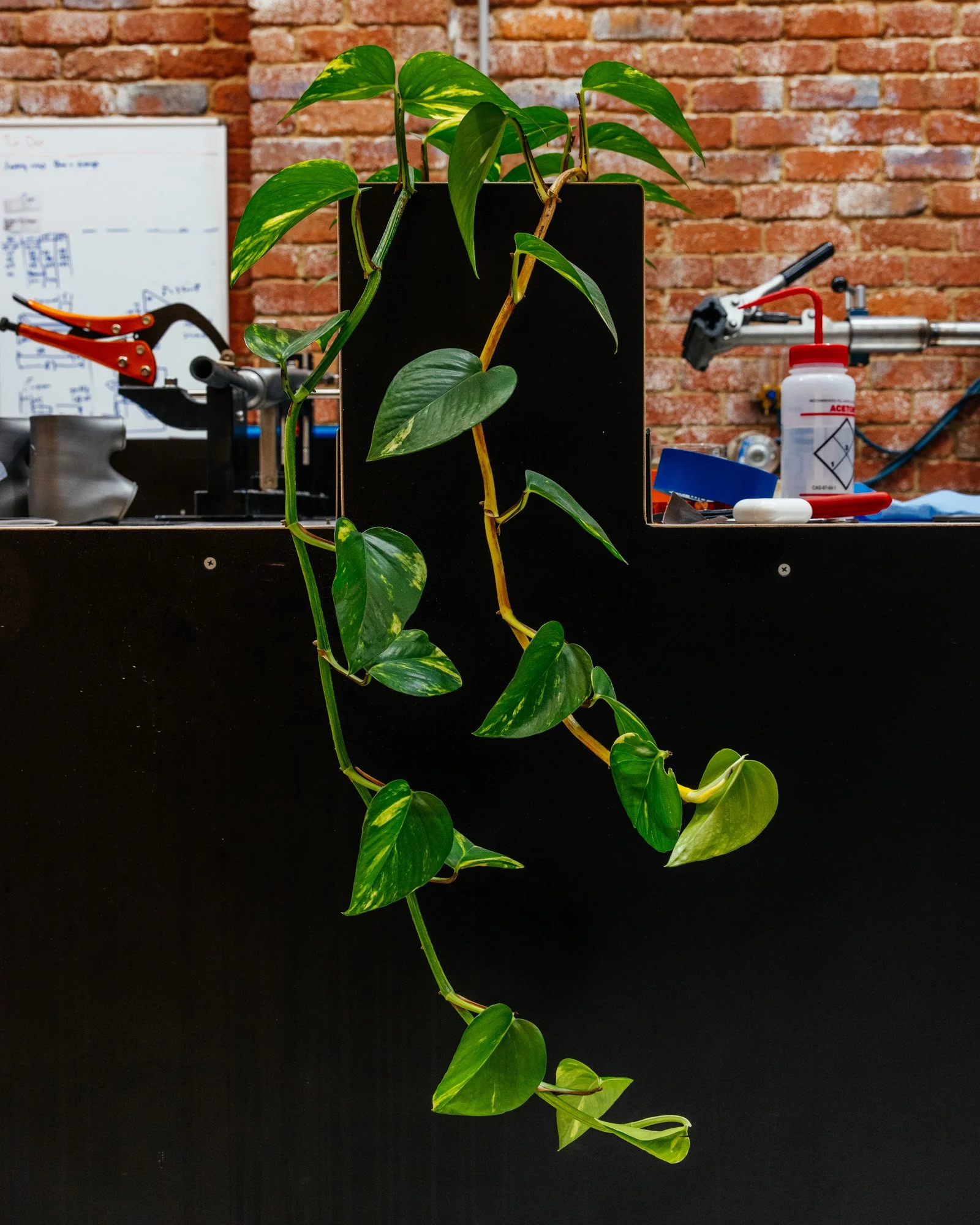 Prova Cycles Shop Visit-36.jpg