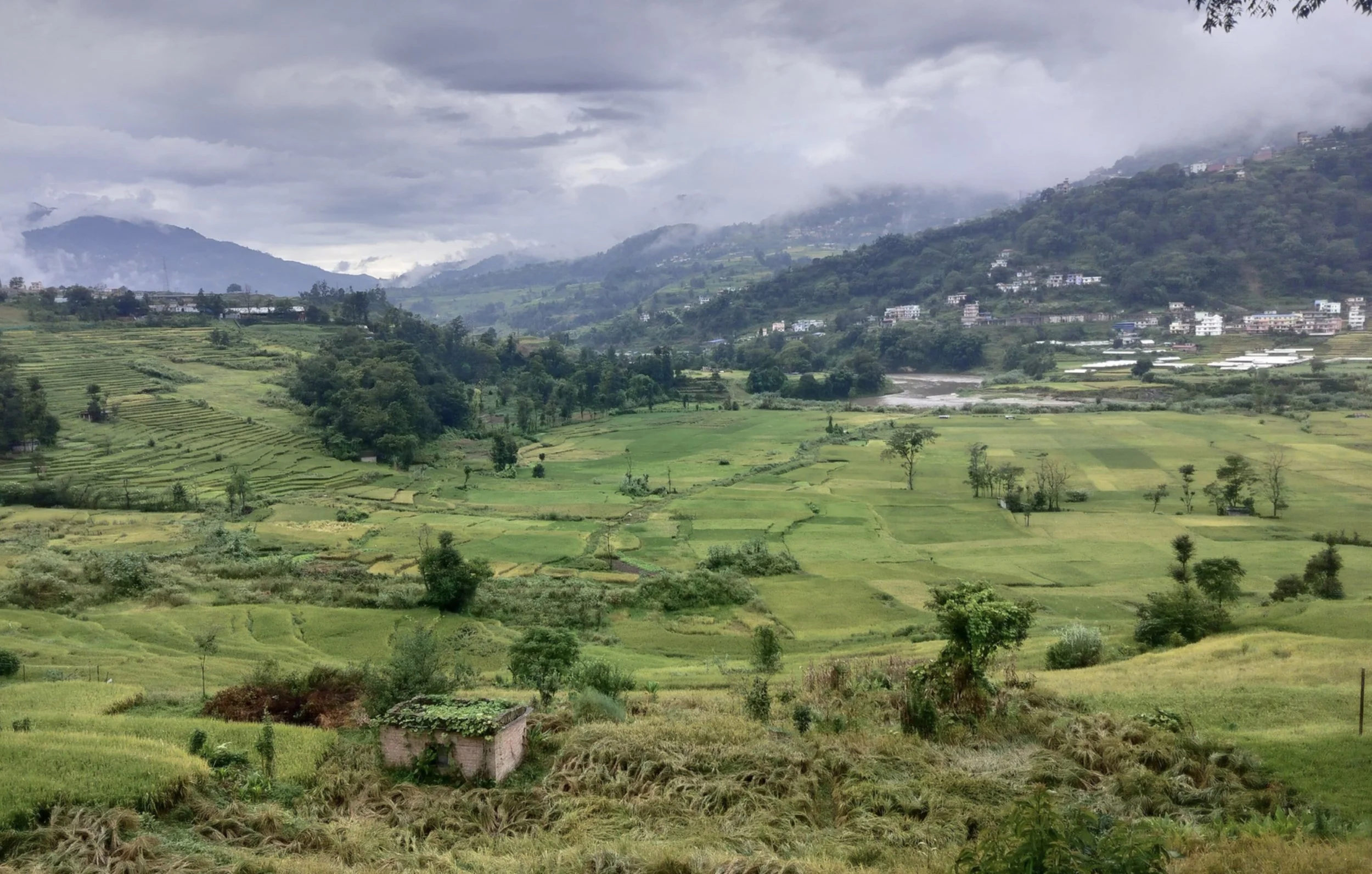 Screenshot 2026-03-20 at 11.33.59.jpg